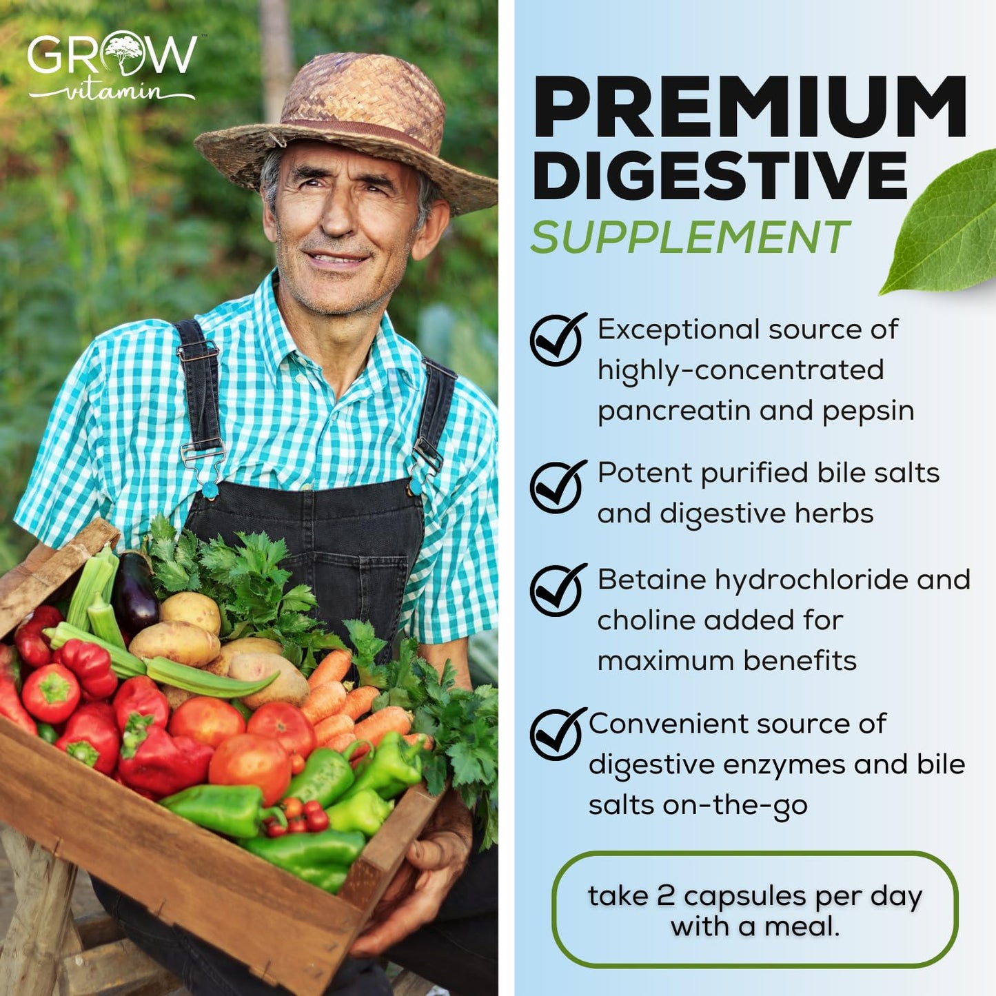 Grow Vitamin Original Gallbladder Formula Capsule, 90 Count