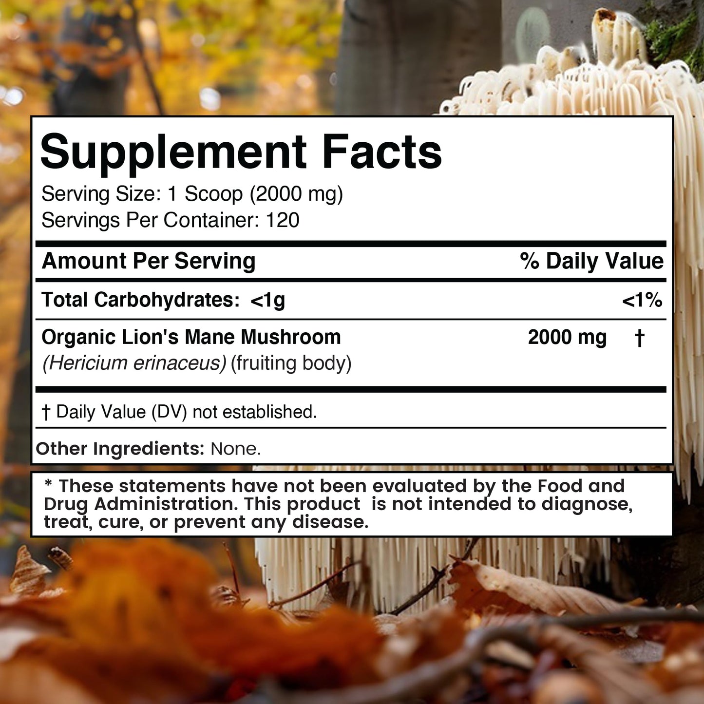 WELLNESS LABSRX Lions Mane Mushroom Powder 8.5 Ounce