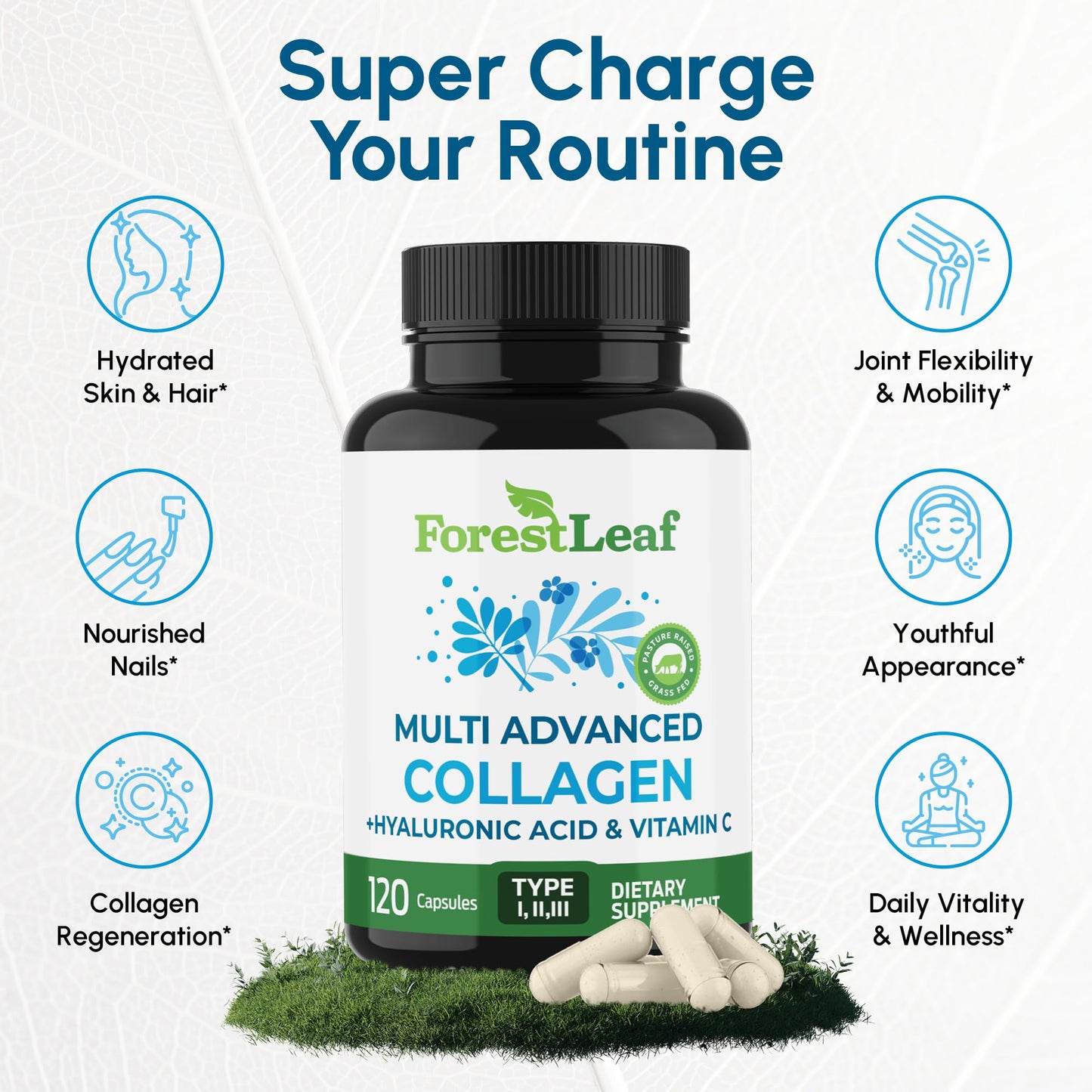 ForestLeaf Multi Collagen Capsules with Hyaluronic Acid + Vitamin C, 240 Capsules