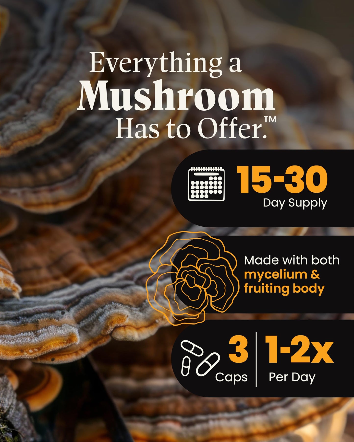 Herb Pharm Mushroom Wellness Turkey Tail Blend with Reishi Capsules, Organic Turkey Tail & Reishi Mushroom, Mushroom Powder Supplement, Traditional Immune, Energy & Vitality Support, 90 Capsules
