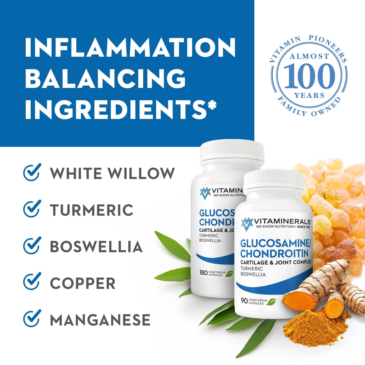 Vitaminerals Glucosamine Joint Support Glucosamine-Chondroitin Complex Capsule 90