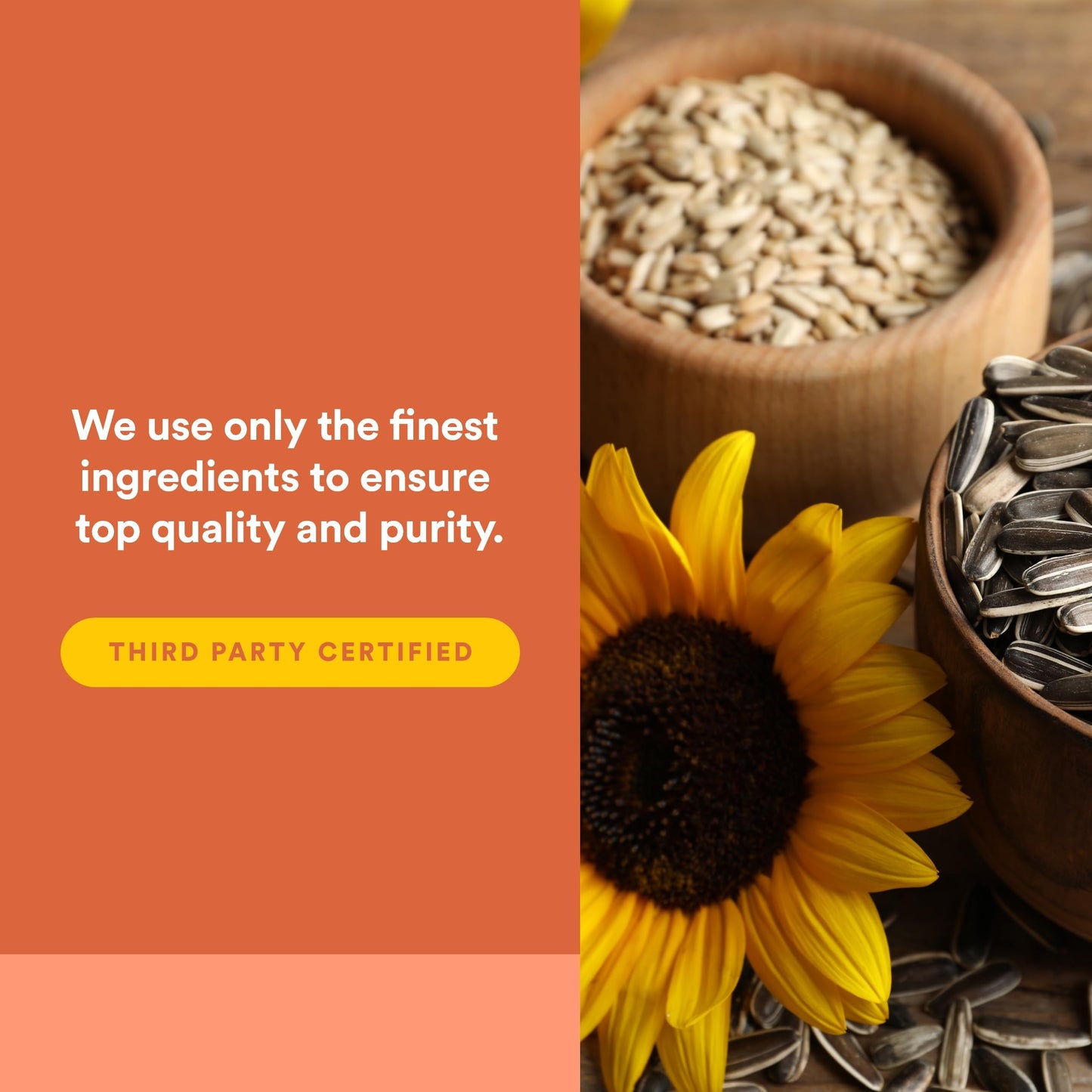Natural Factors Phosphatidylserine Softgels 60