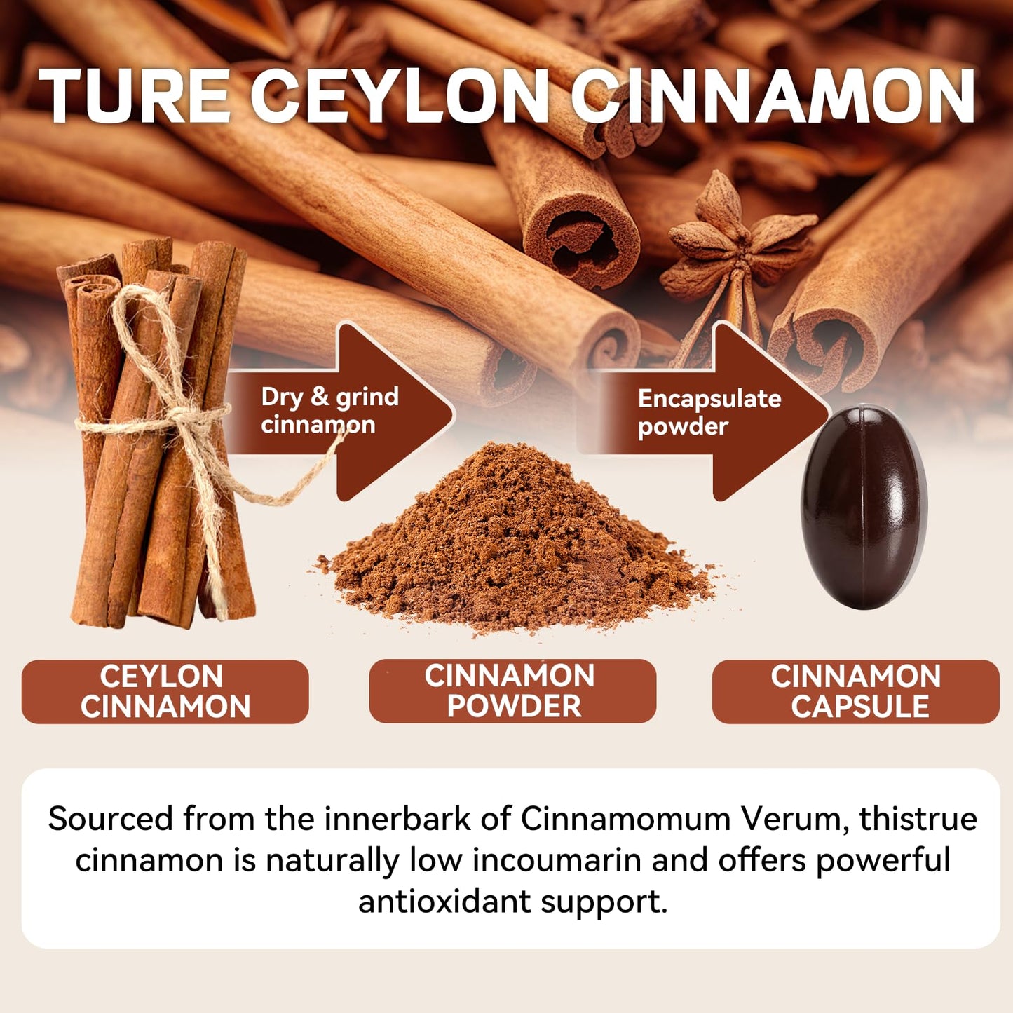 ALLBIZ Ceylon Cinnamon Softgels 360 Count
