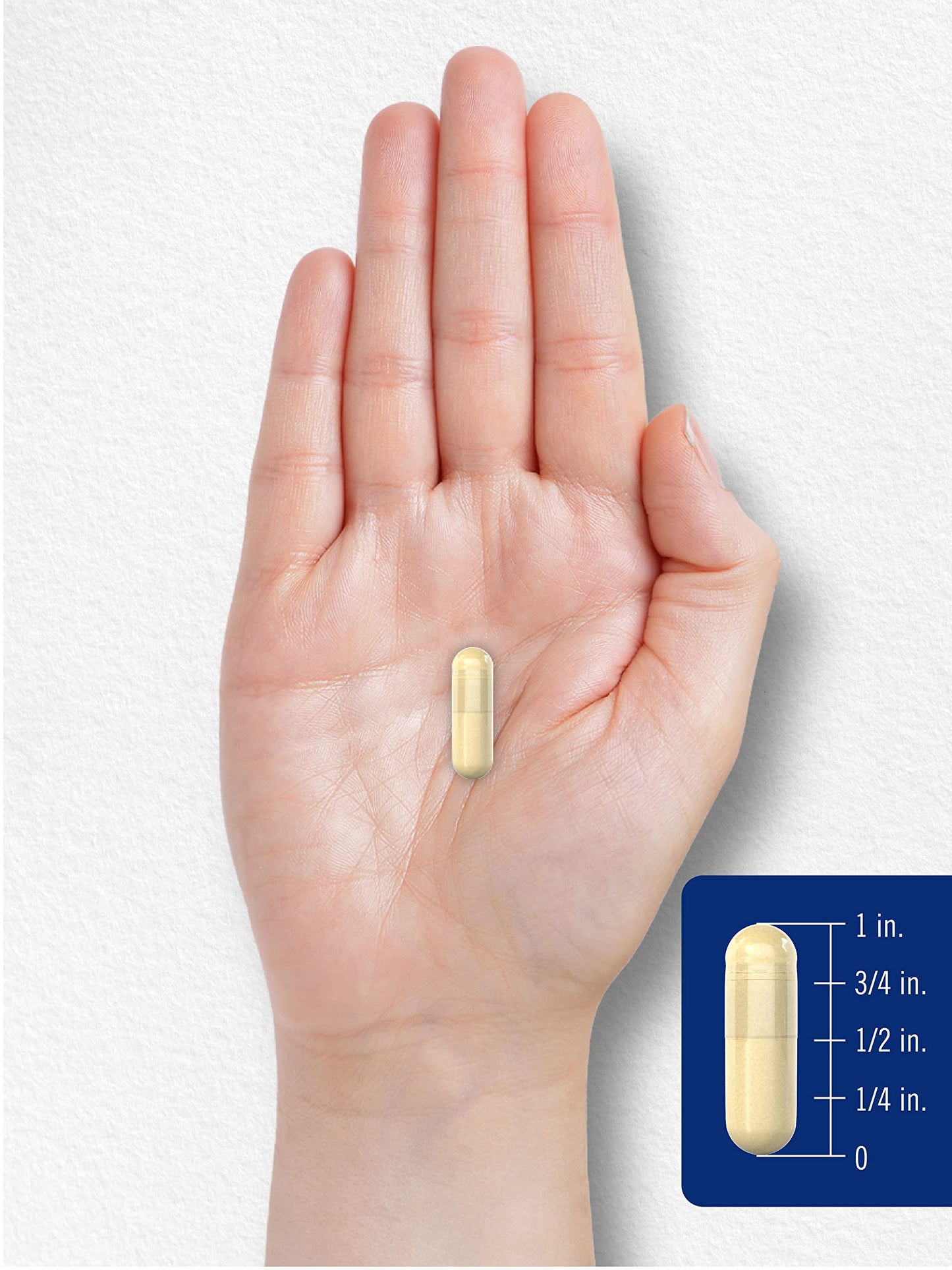 Carlyle Gelatin Capsules 250 Capsules