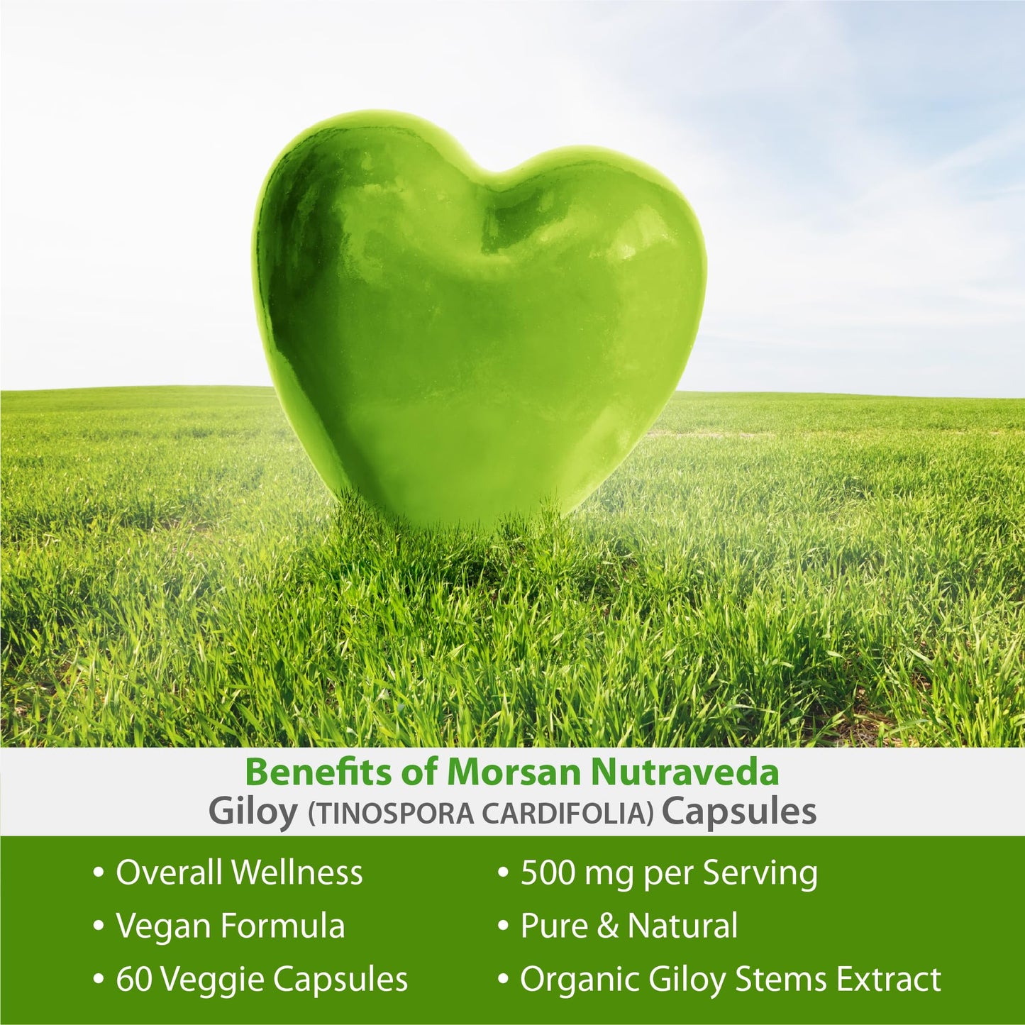 Morsan Nutraveda Tinospora Cordifolia (Giloy, Guduchi) Extract Capsules, 120 Capsules