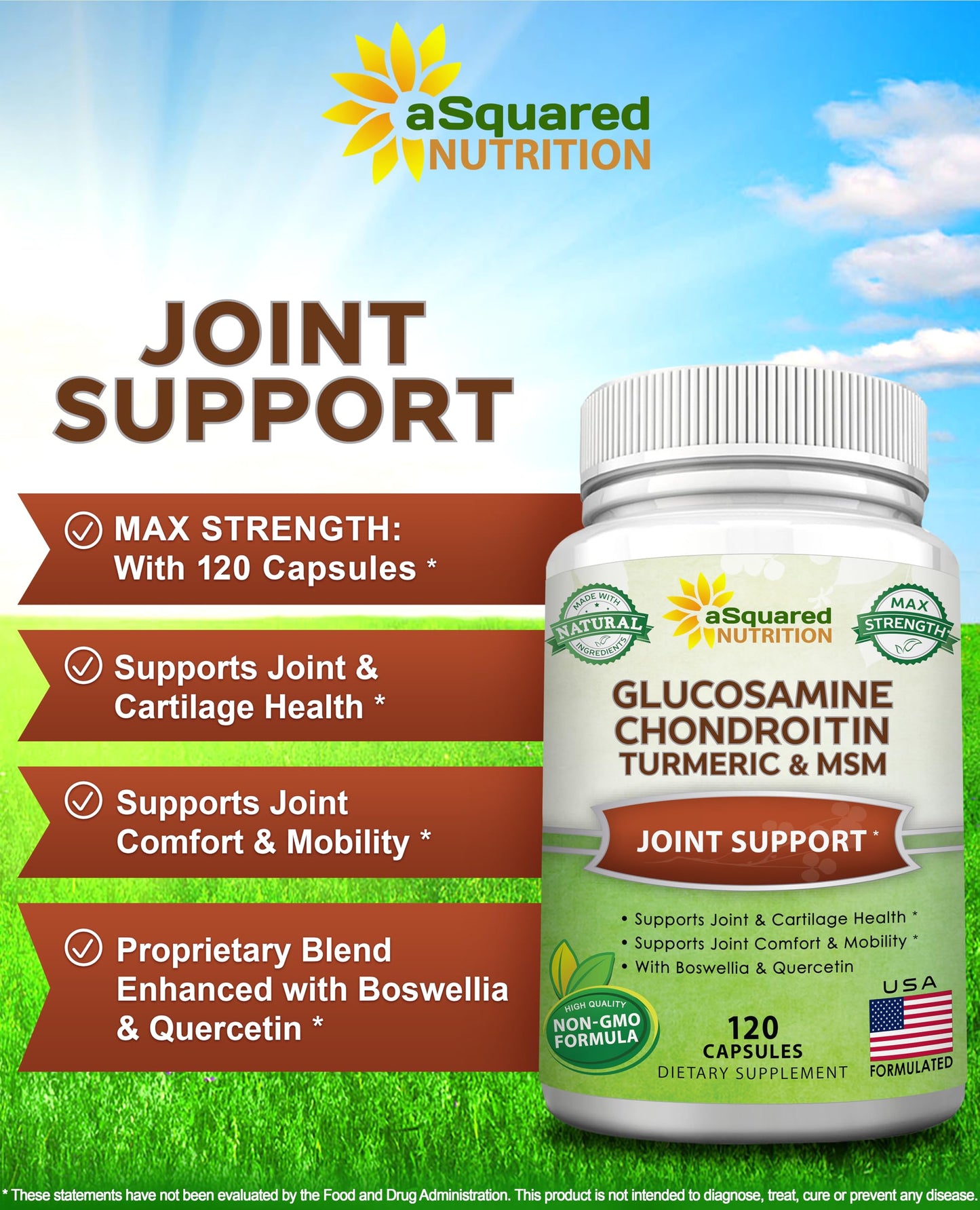 aSquared Nutrition Glucosamine Chondroitin Turmeric MSM Boswellia Capsules, 120 Count
