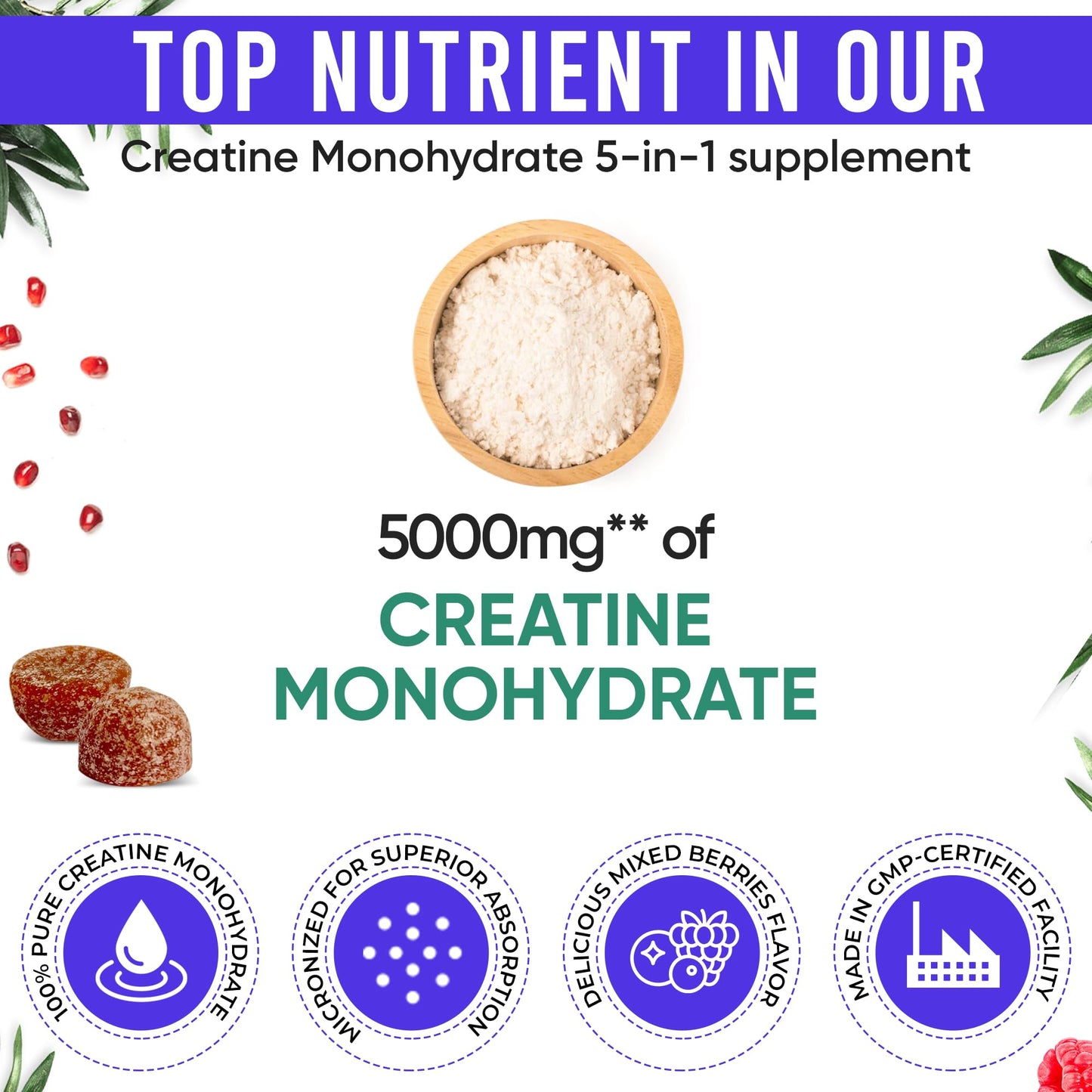 Adndale Creatine Monohydrate Supplement Gummies 75 Count