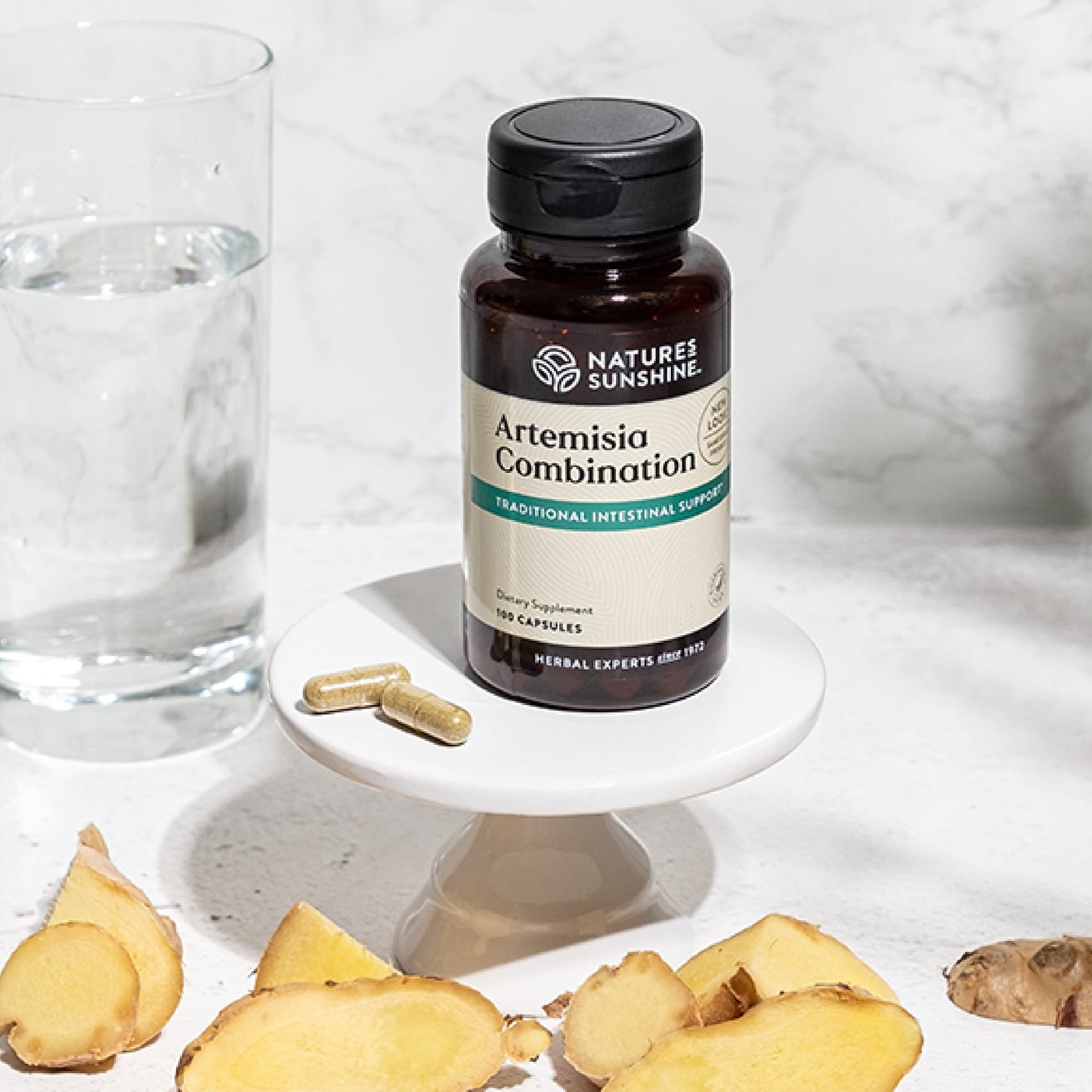 Nature's Sunshine Artemisia Combination, 100 Capsules