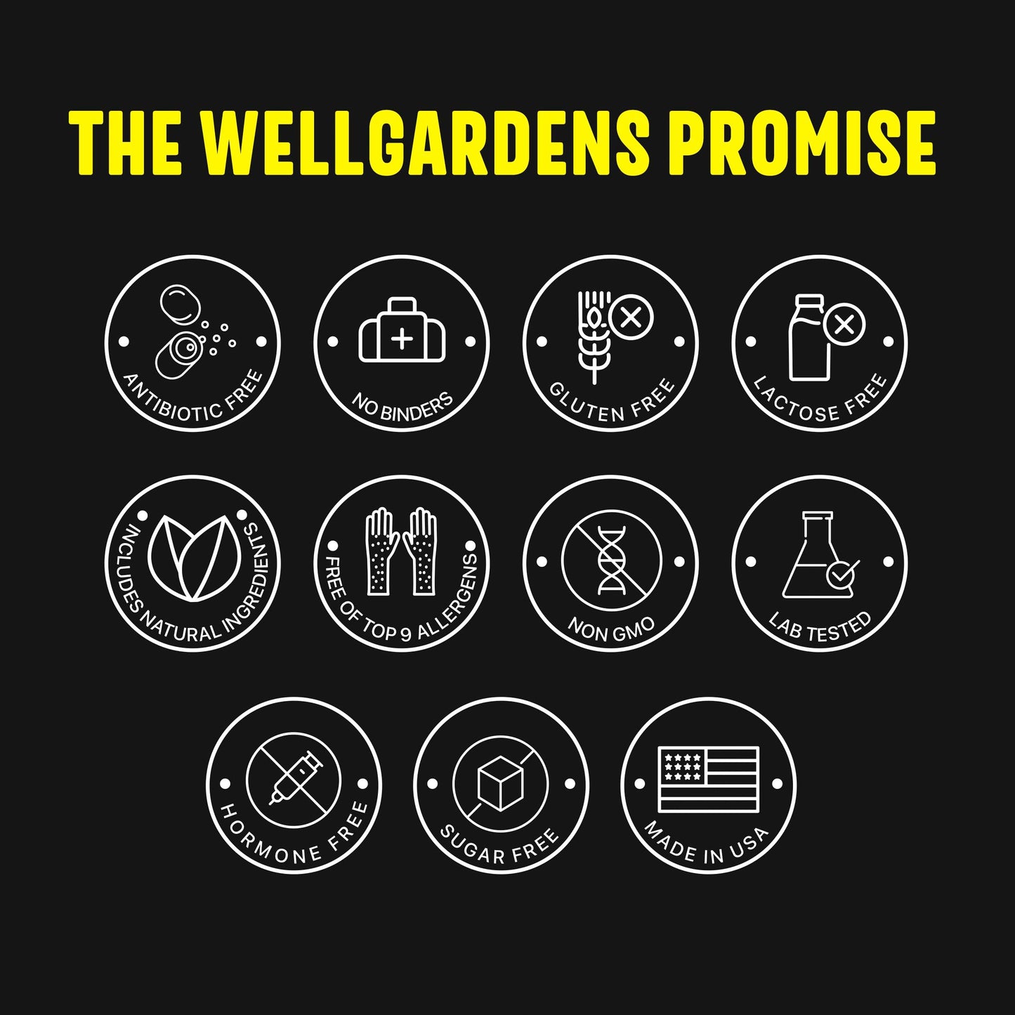 Wellgardens Multivitamin for Men Capsule 60 Count