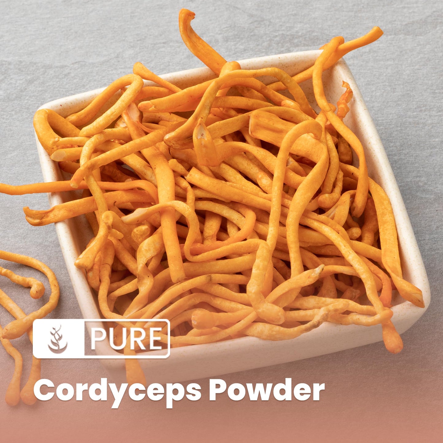 Pure Original Ingredients Cordyceps Powder 8 oz