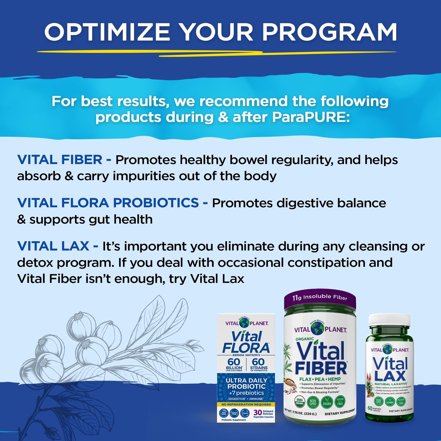 Vital Planet Vital ParaPure Intestinal Cleanse Capsules, 56 Count