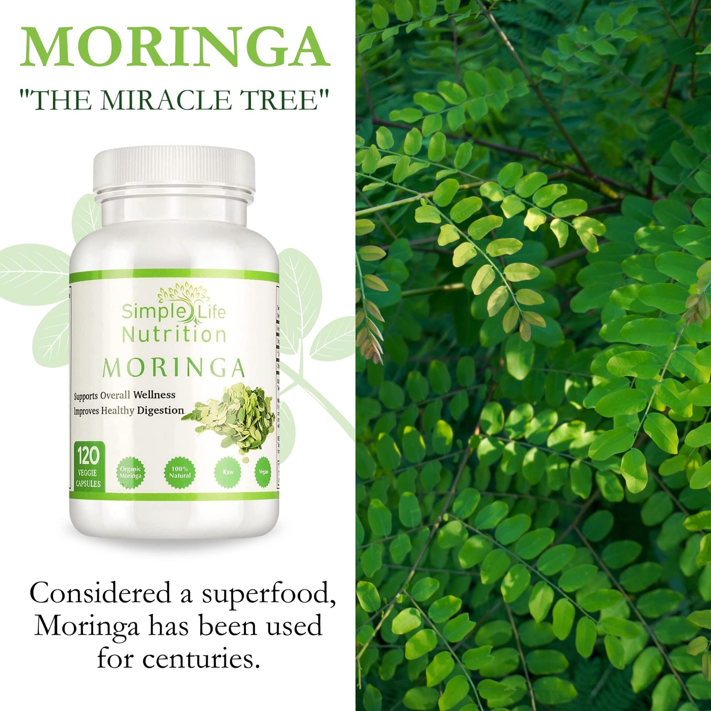 Simple Life Nutrition Organic Moringa Powder Capsules 120 Count
