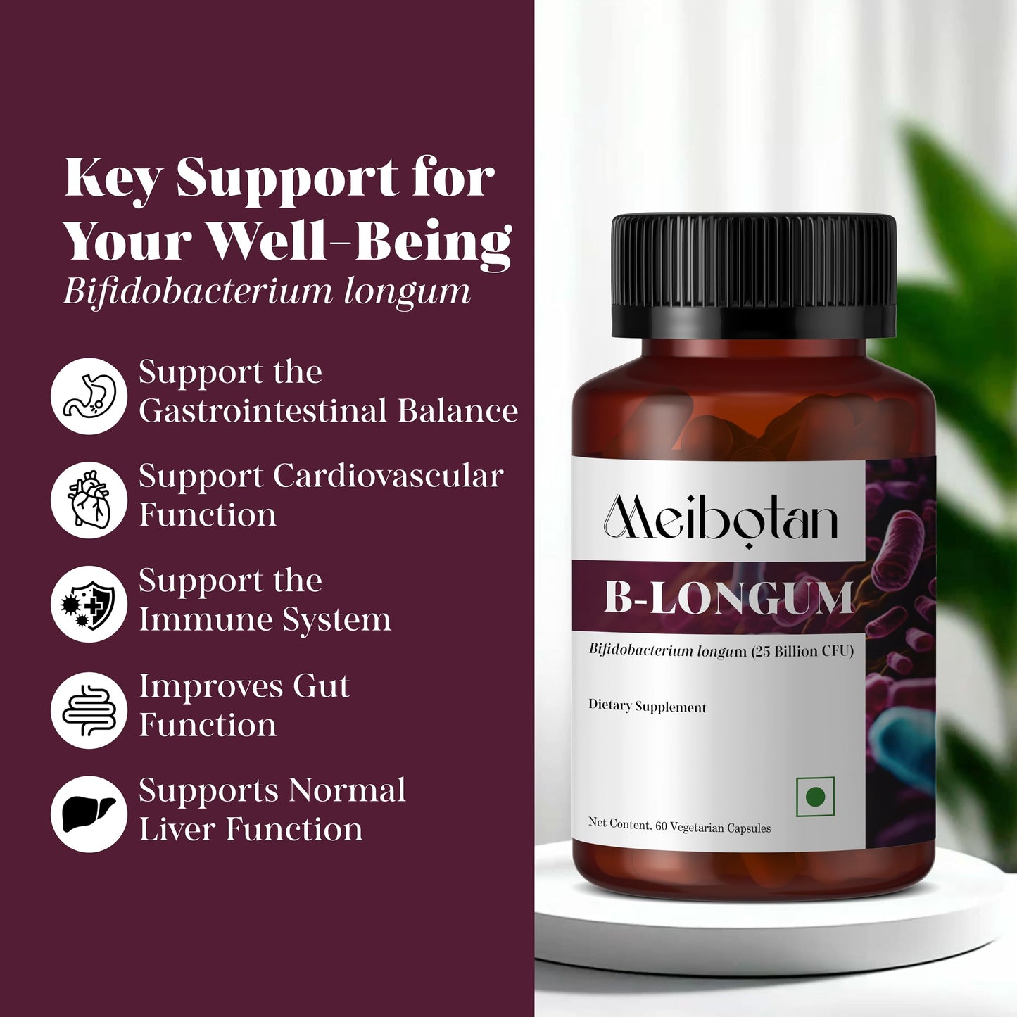 MEIBOTAN B-Longum Probiotic for Digestive and Immune Health 60 Veggie Capsules