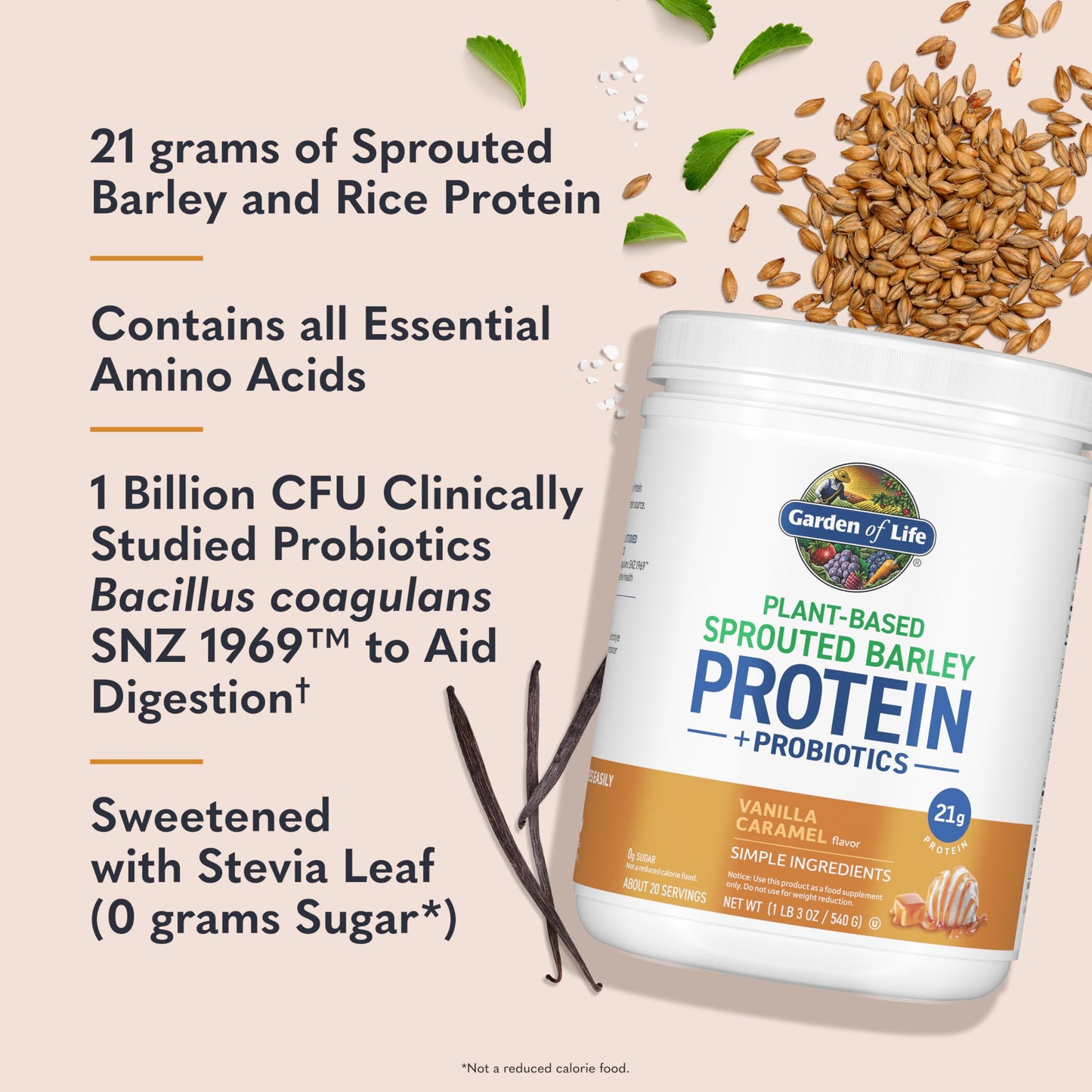 Garden of Life Sprouted Barley Protein Powder Vanilla Caramel, 18.48 oz