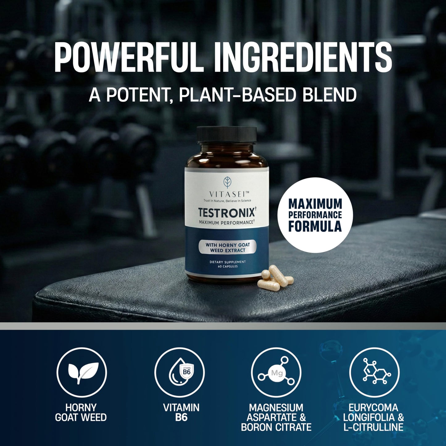 VITASEI Testronix Supplement 60 Capsules