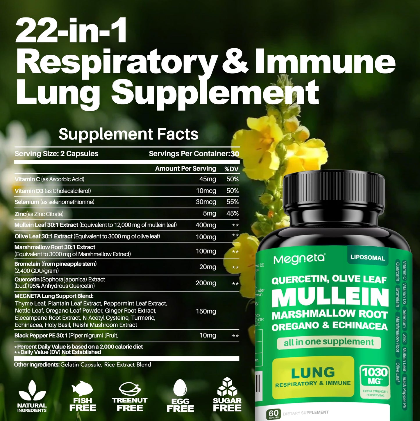 MEGNETA Lung Health Support Capsules 60 Count