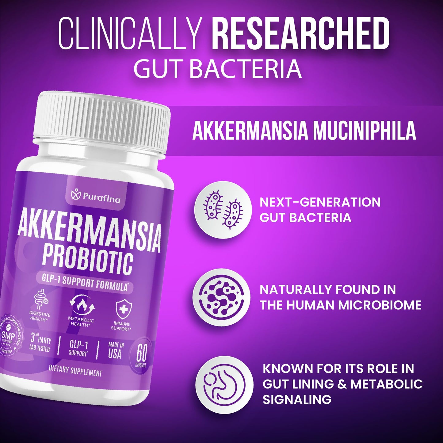 Purafina Akkermansia Probiotic with Prebiotic Chicory Inulin for Increased GLP-1 Support, Akkermansia Muciniphila Probiotic Supplement Delayed Release, Gut Health & Digestive Support Capsule 60 Count