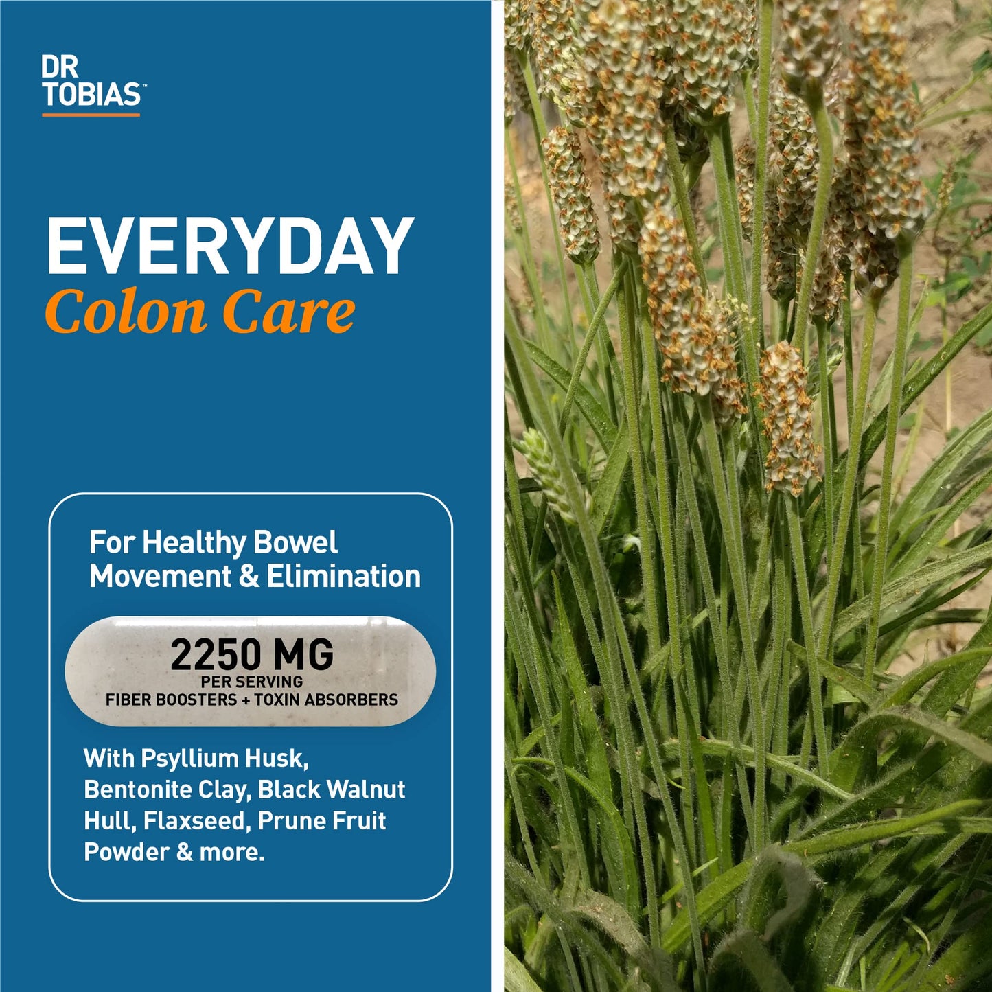 Dr. Tobias Psyllium Daily Fiber Supplement Capsules 180 Count