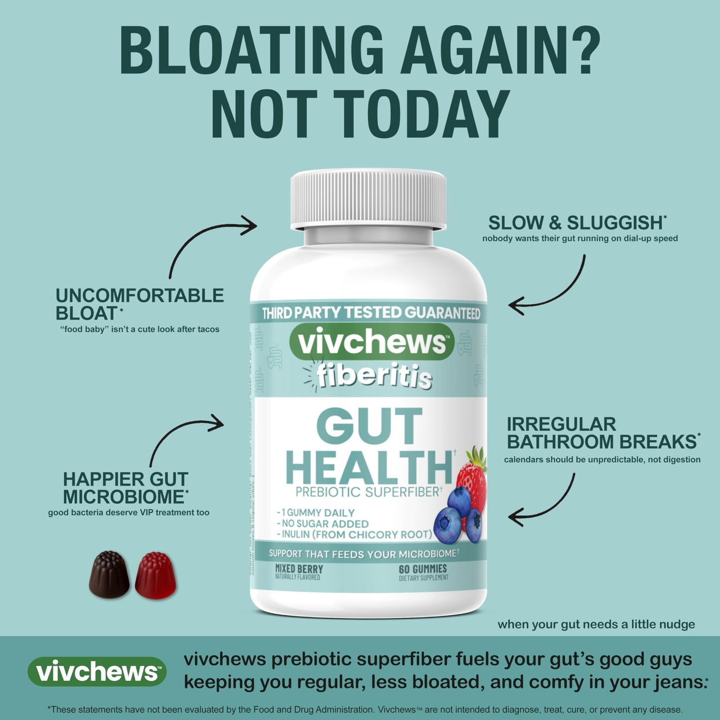 vivchews Gut Health Gummies 60 Count
