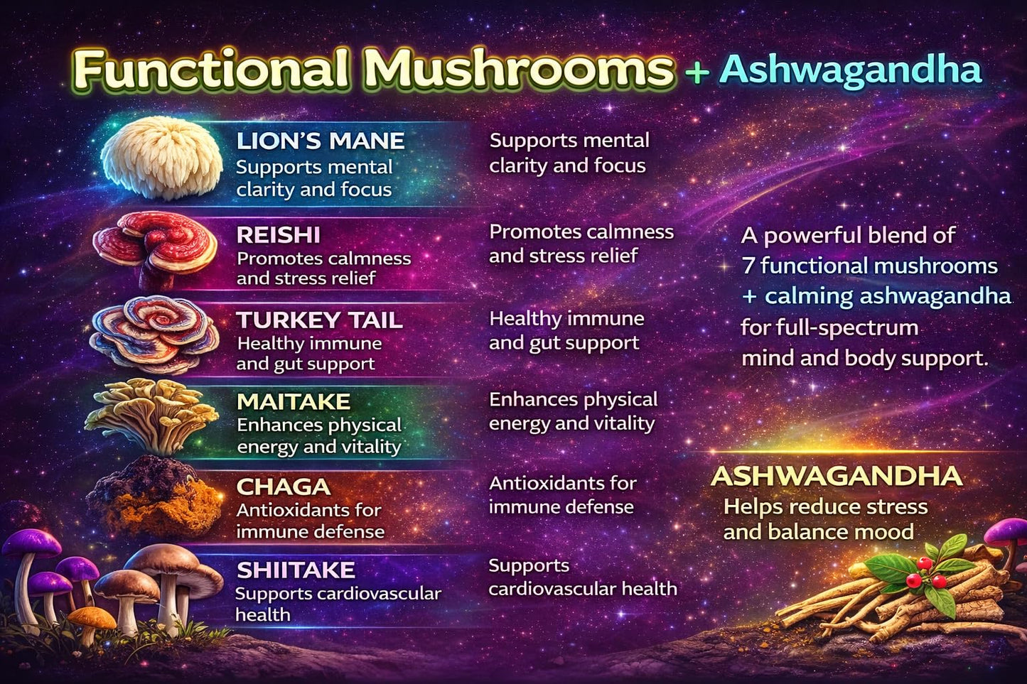 Noo Groove Organic Functional Mushroom Gummies with Ashwagandha, Lions Mane, Reishi, Turkey Tail, 2600mg, 80 Count