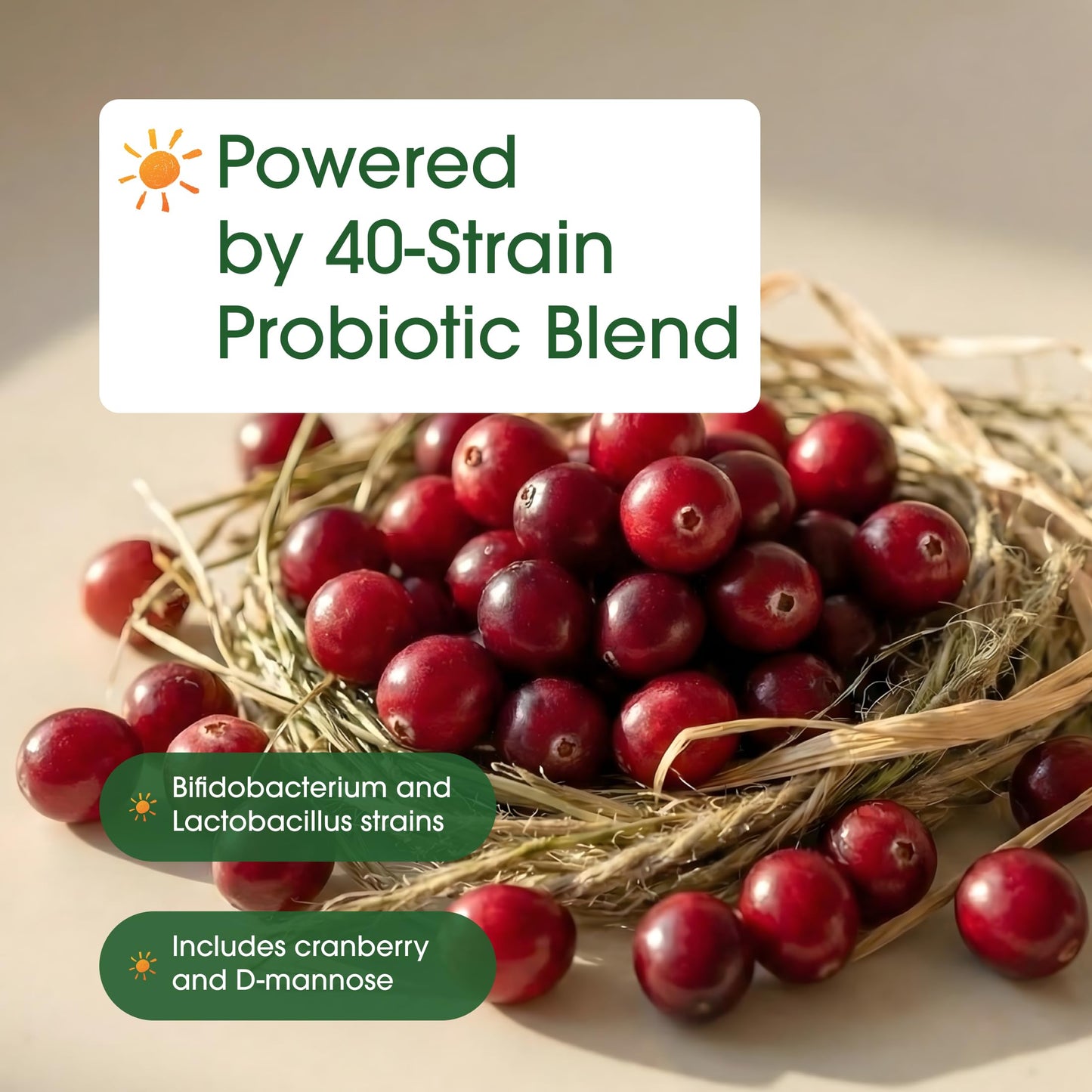 NatureBell Women's Probiotics+ 240 Vegetarian Capsules