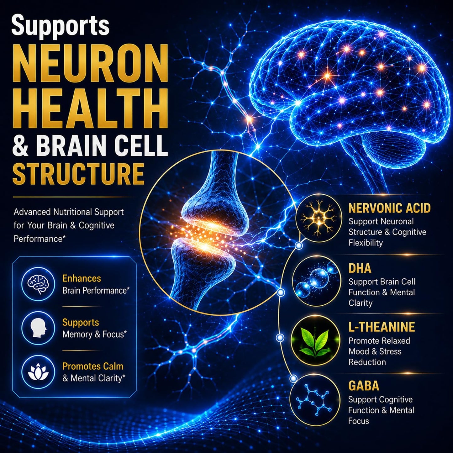 CUIXO Brain Supplement Memory & Focus, Nootropic Support with Phosphatidylserine Softgels 90 Count