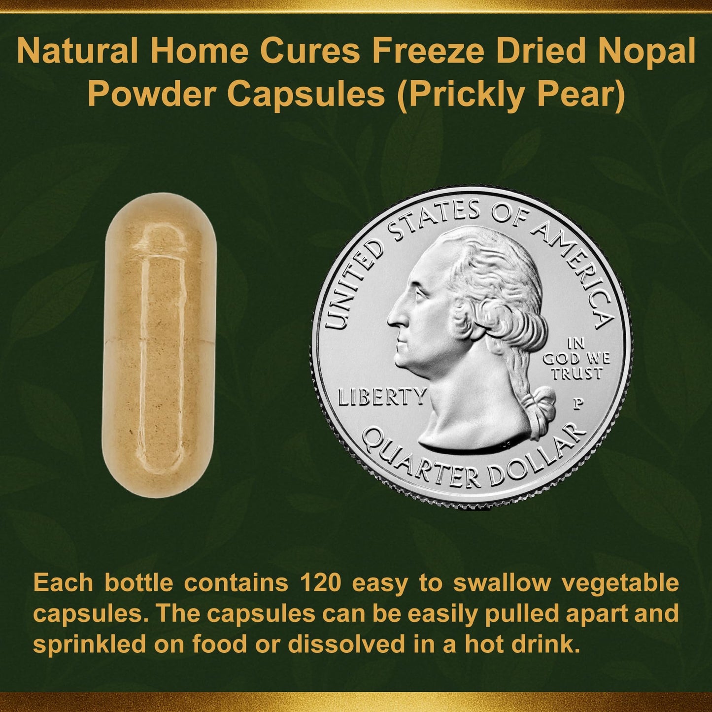 Natural Home Cures Nopal Cactus Capsules, 3 Bottles