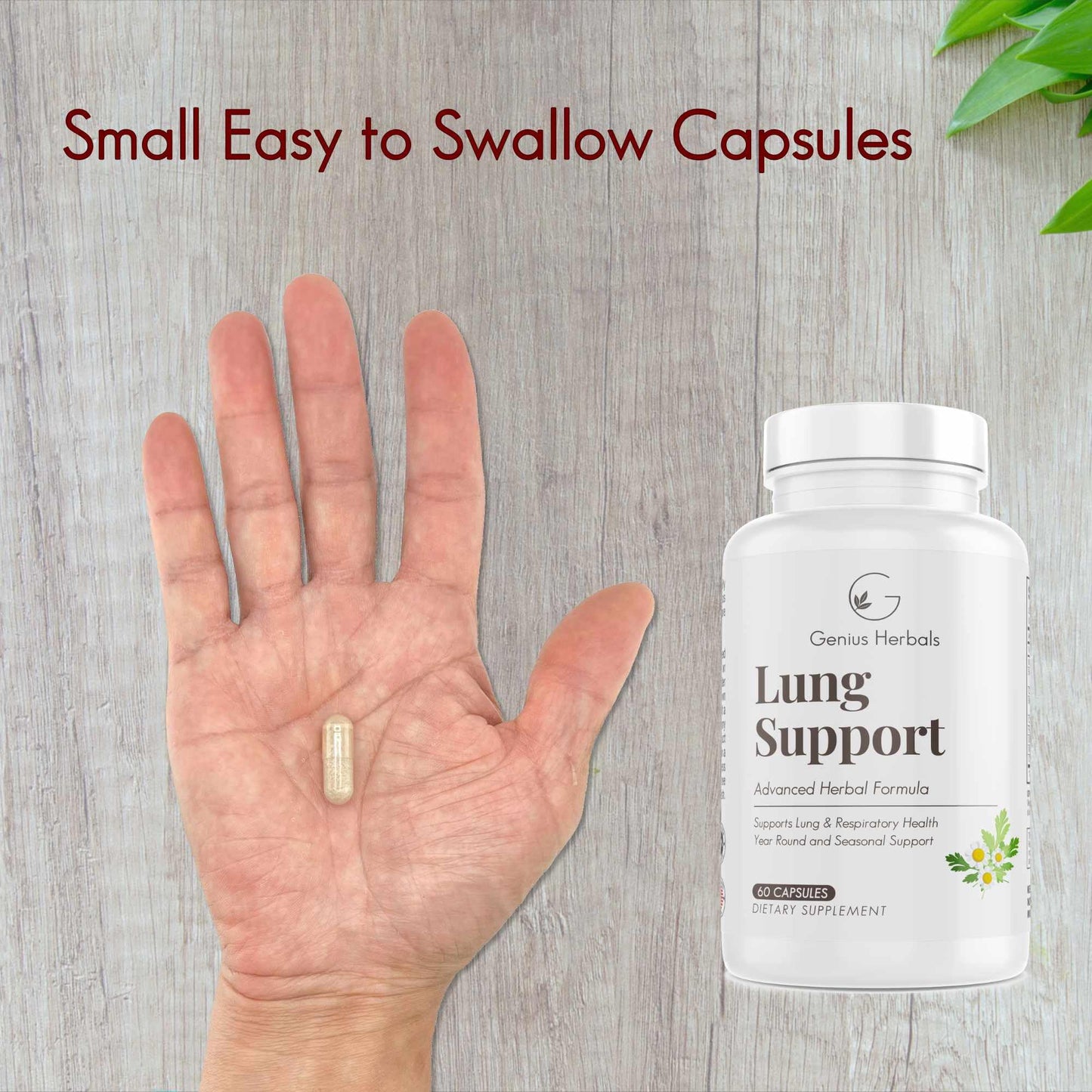 GENIUS HERBALS Lung Support Capsule, 60 Capsules