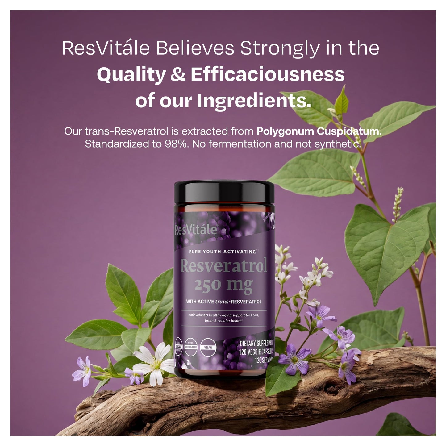 ResVitale Resveratrol 250 mg Veggie Capsules, 120 Count