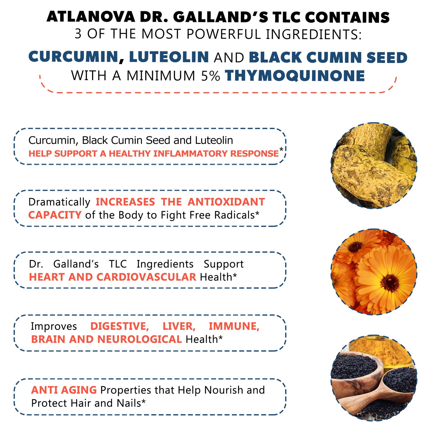 ATLANOVA Dr. Galland’s TLC - True Liposomal Supplement, Turmeric Curcumin Supplement - Luteolin, Black Cumin Seed & 5% Thymoquinone, High Absorption Formula, Vegan - 60 Capsules