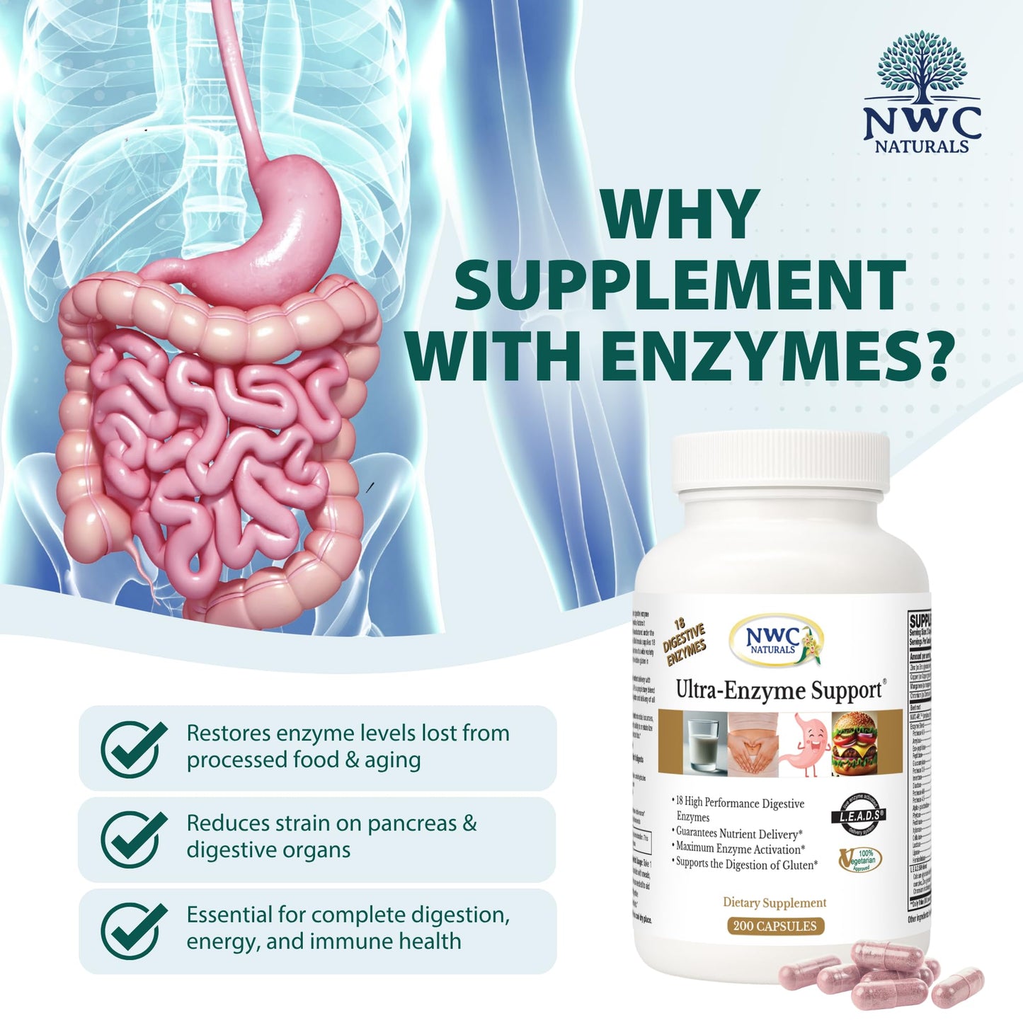 NWC Naturals Ultra-Enzyme Support Digestive Enzyme Supplement Powder 200 Count