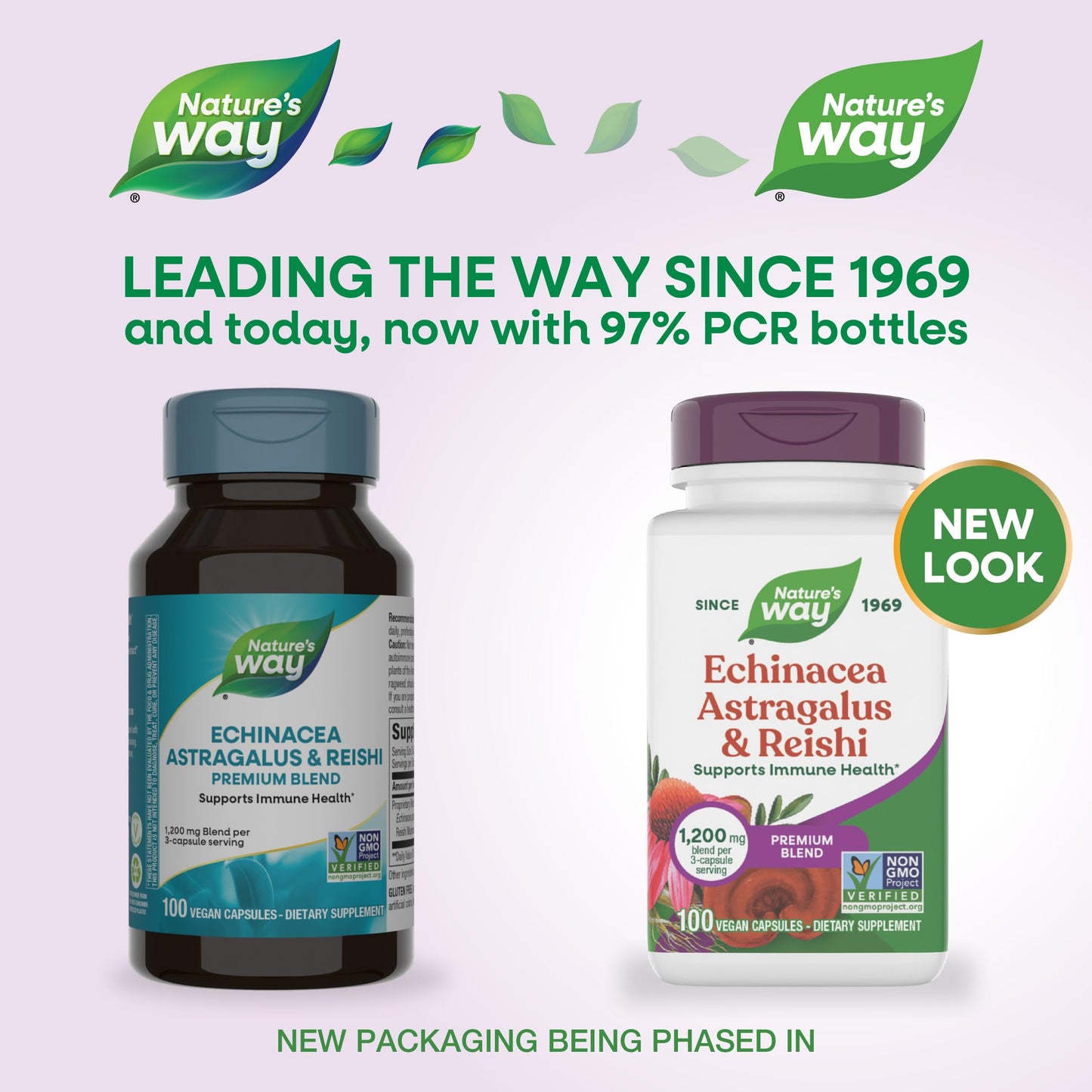 Nature's Way Echinacea, Astragalus & Reishi Immune Blend 100 Capsules