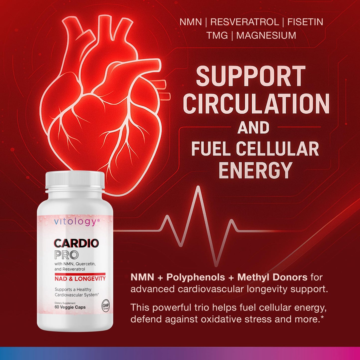 Vitology N.A.D.+ Longevity Cardiovascular Support Supplement with NMN, NR, Resveratrol, Fisetin, Quercetin, TMG & Apigenin, 60 Veggie Capsules