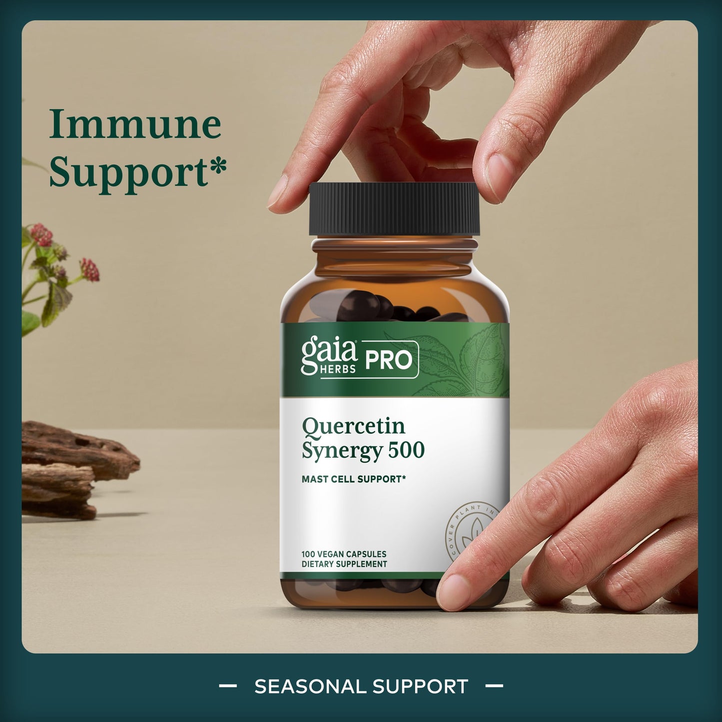 Gaia Herbs PRO Quercetin Synergy 500 Immune System Support with Bromelain & Turmeric, 100 Capsules