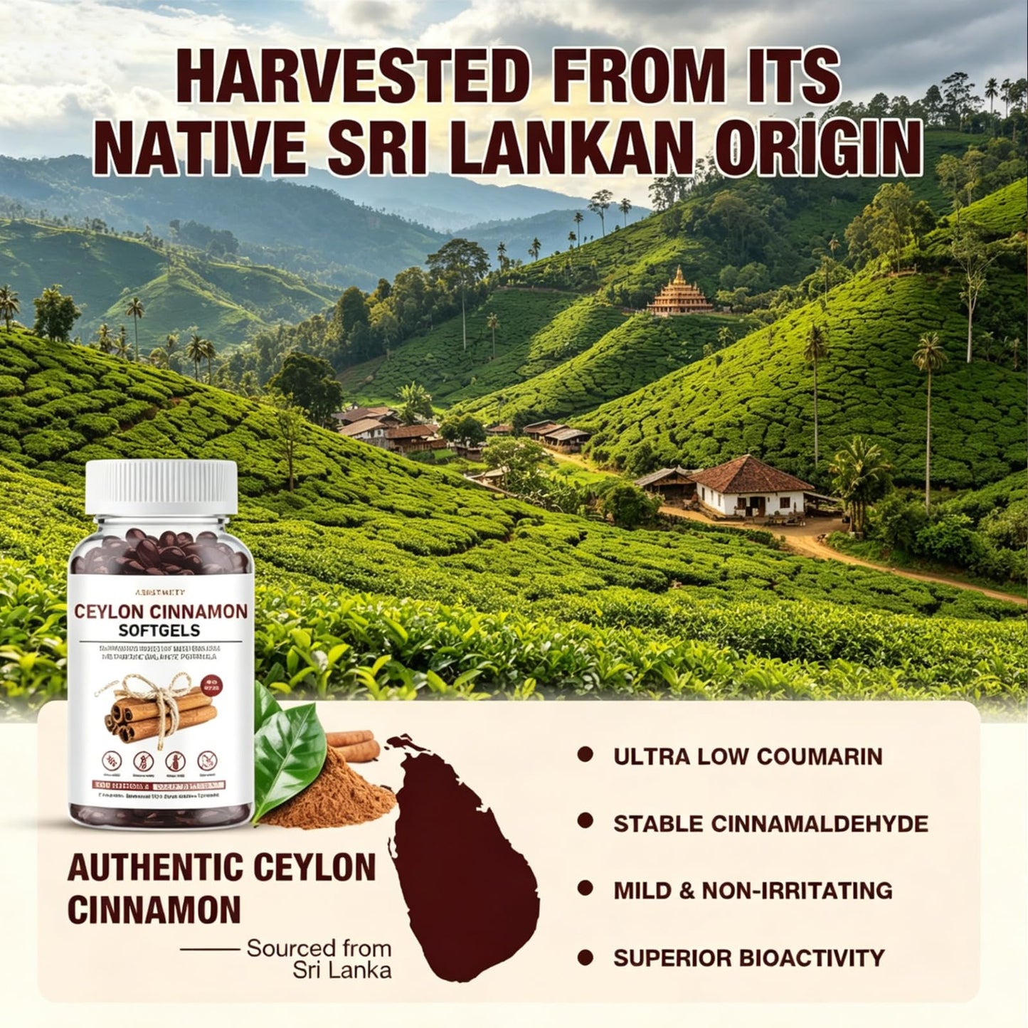 ASISTNETY Ceylon Cinnamon Softgels 300