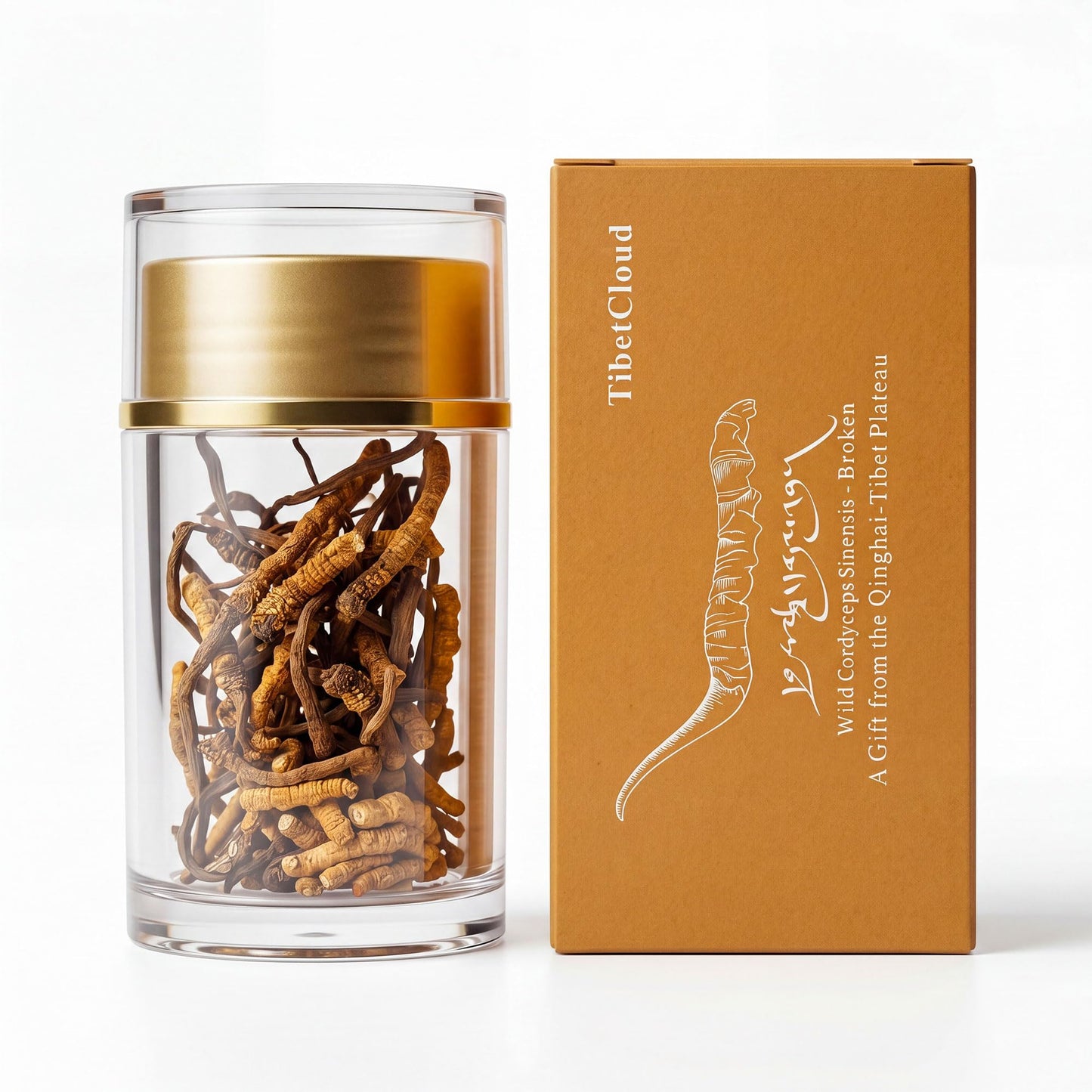 TibetCloud Wild Cordyceps Sinensis Caplet 1