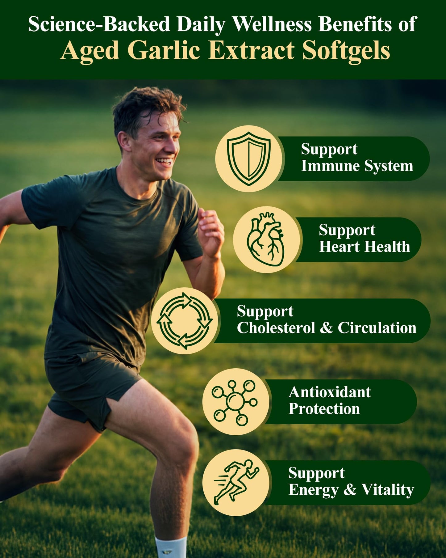 Okcure Aged Garlic Extract Softgels, 300 Count