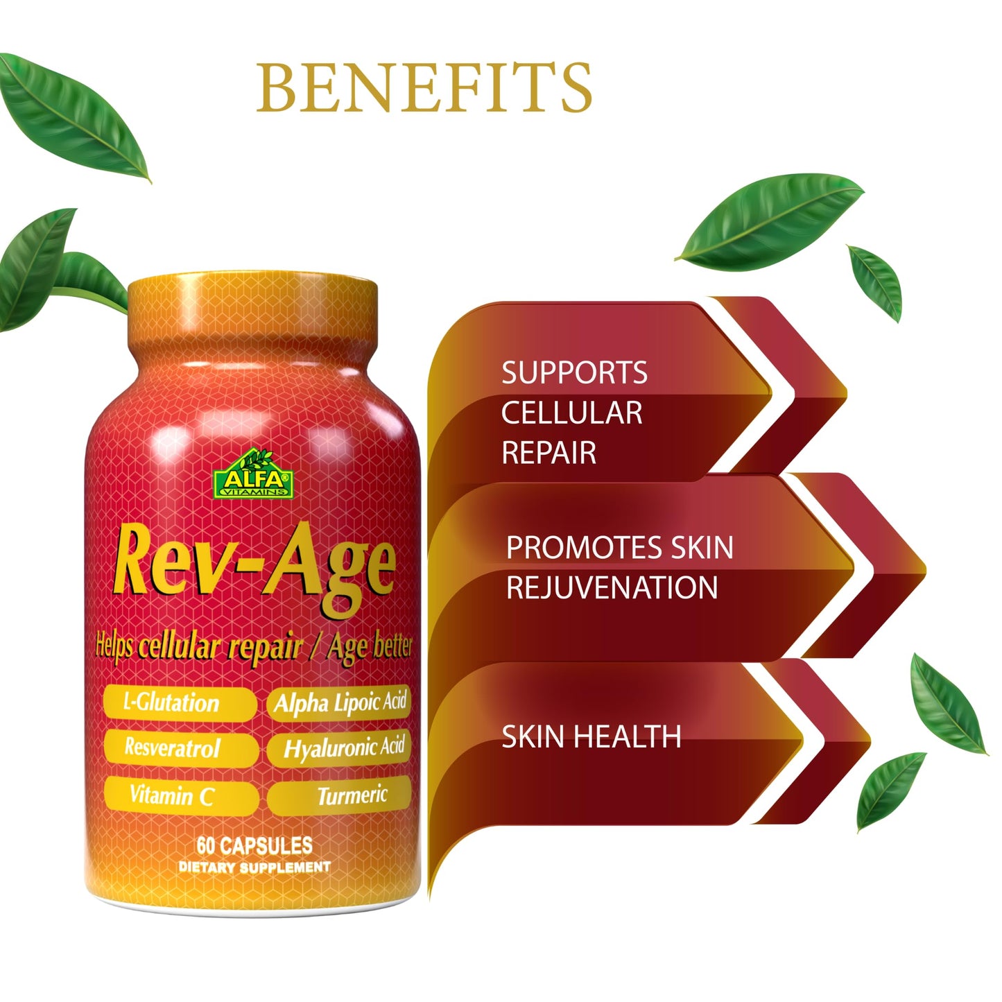 ALFA VITAMINS Rev-Age Cellular Repair Supplement for Anti-Aging & Immune System Support, 60 Capsules