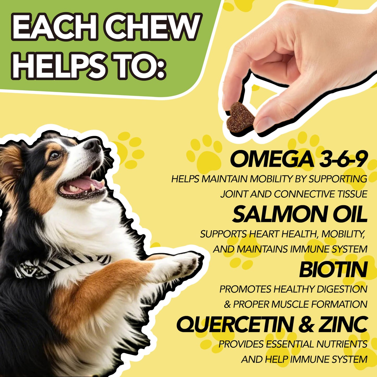 MEGNETA Omega 3-6-9 for All Dogs Chewable, 180 Chews