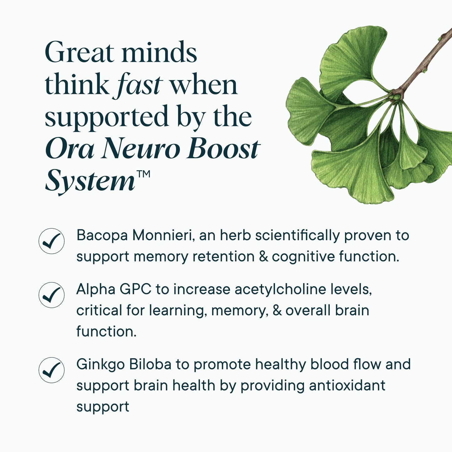 Ora Organic Brain Health Supplement for Focus, Mental Energy + Memory - Panax Red Ginseng, Bacopa Monnieri, Alpha GPC & EnXtra, 60 Capsules