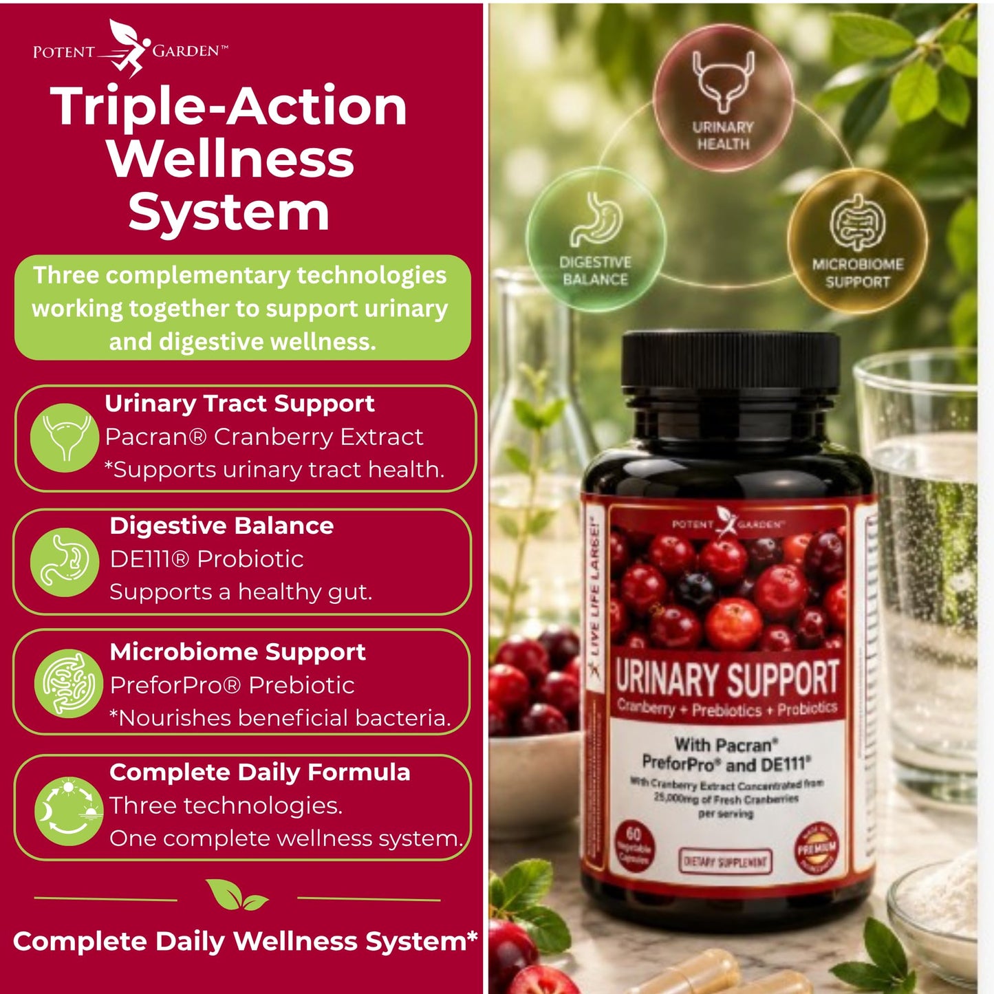 Potent Garden Urinary Support Women's Probiotic Cranberry Capsules, 60 Count
