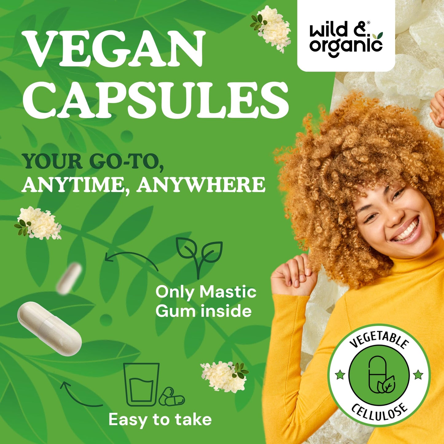 Wild & Organic Mastic Gum Capsules 90 Count