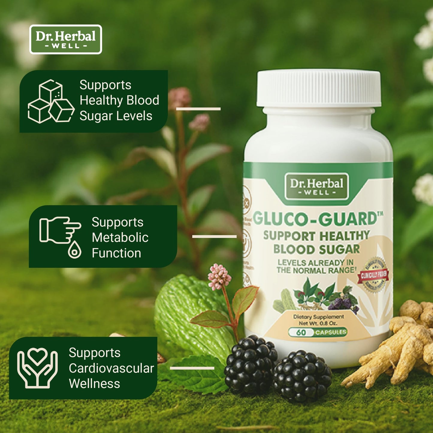 DR. HERBAL WELL Gluco-Guard with Ginseng Plus Capsule, 1 Capsule