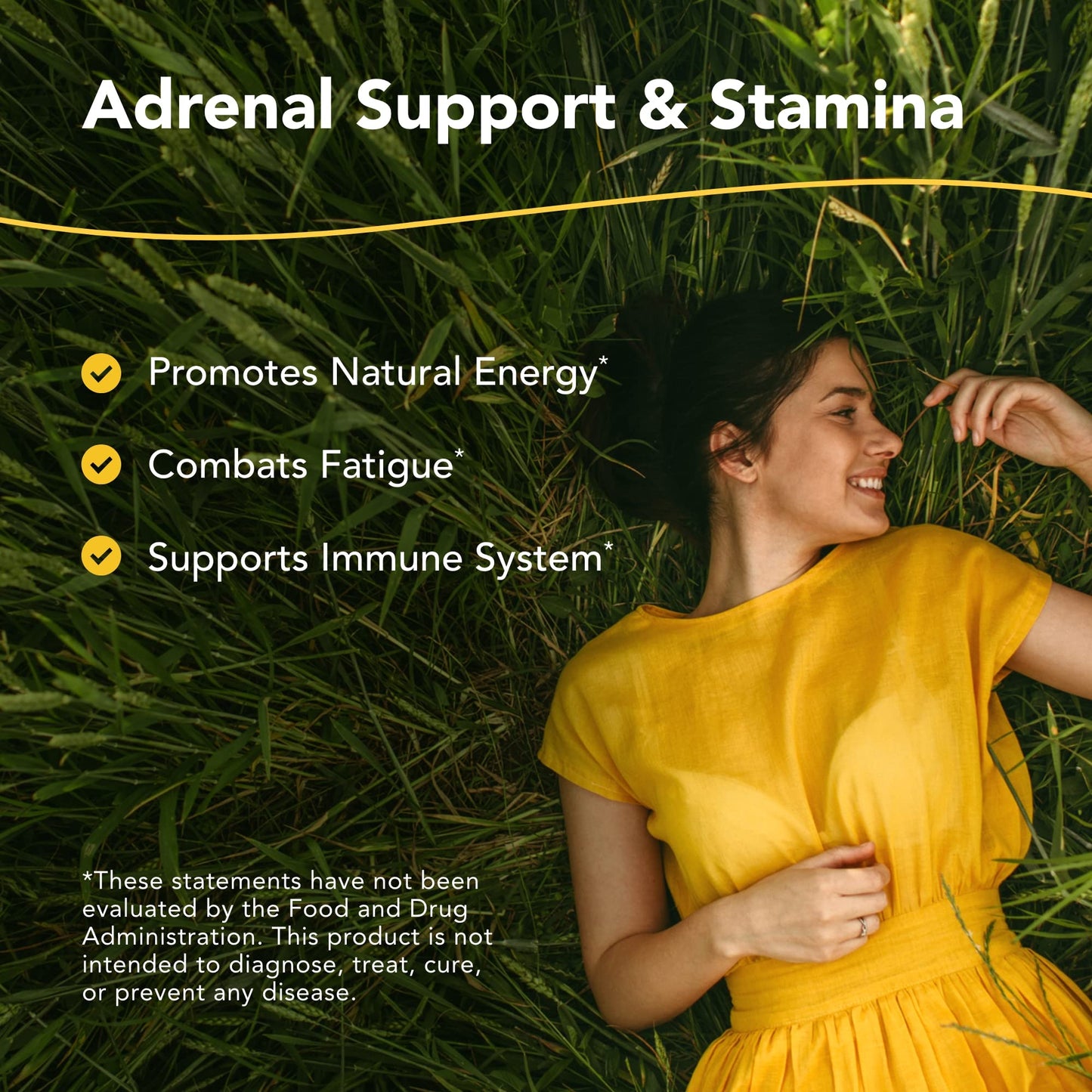 NORTH AMERICAN HERB & SPICE Ashadrene Ashwagandha Extract Fortified with Royal Jelly 60 Capsules
