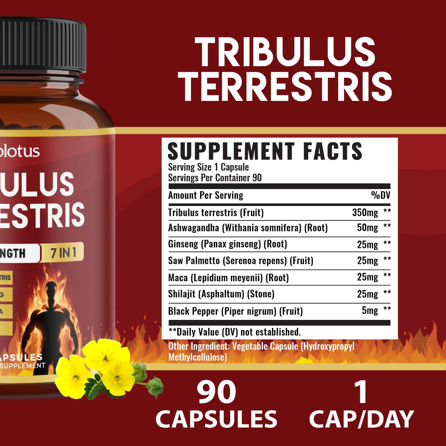 Zolotus Tribulus Terrestris Capsule, 90 Count