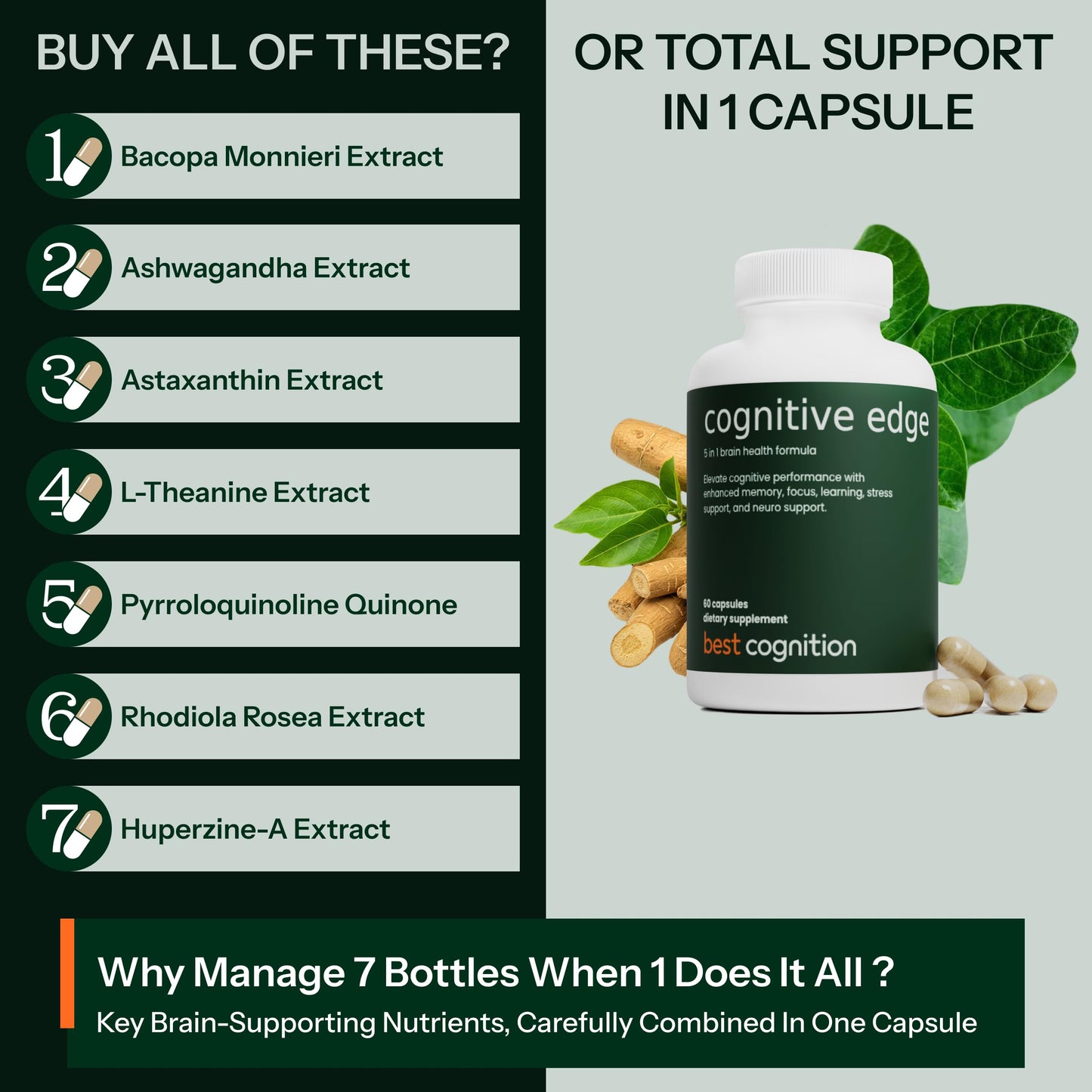 BEST COGNITION Cognitive Edge Bacopa Memory Supplement, 60 Capsules