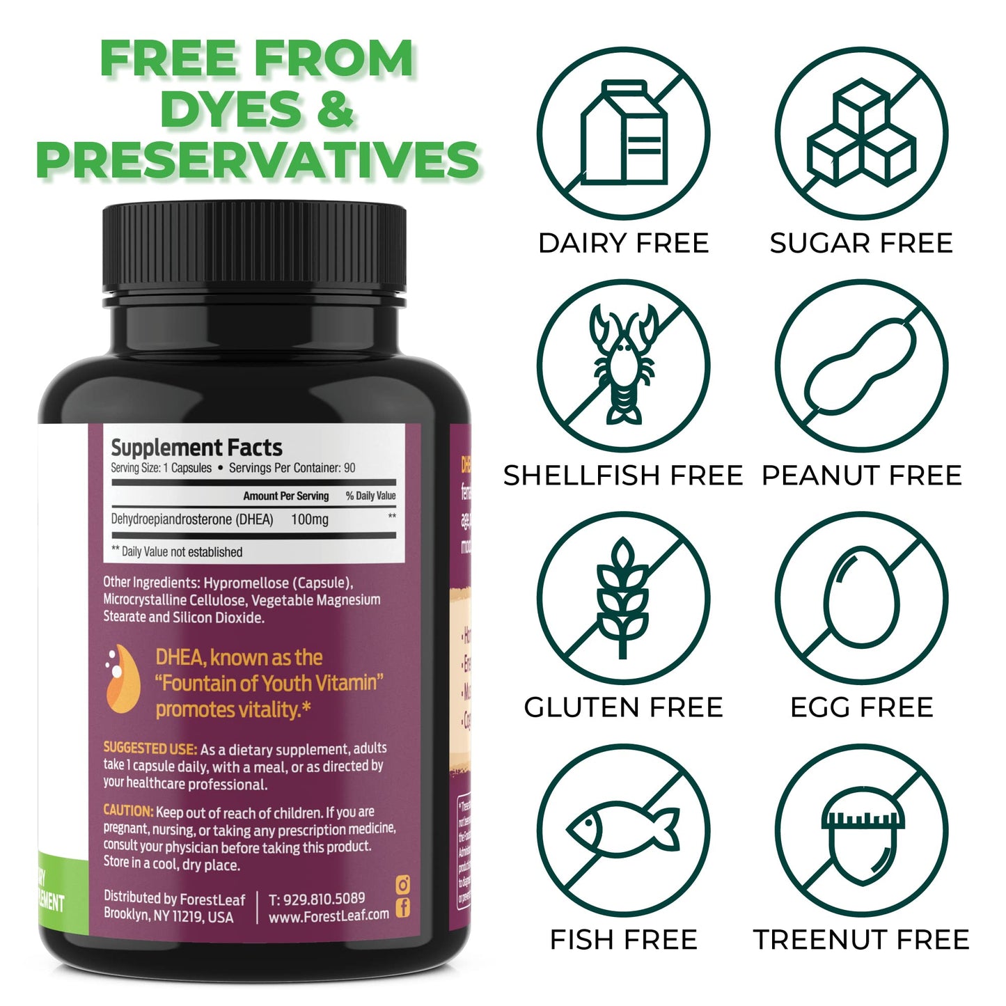 ForestLeaf DHEA 100mg Capsule 90 Count