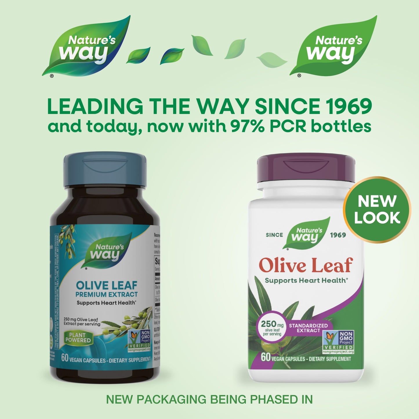 Nature's Way Olive Leaf Standardized Extract Capsule 60 Count