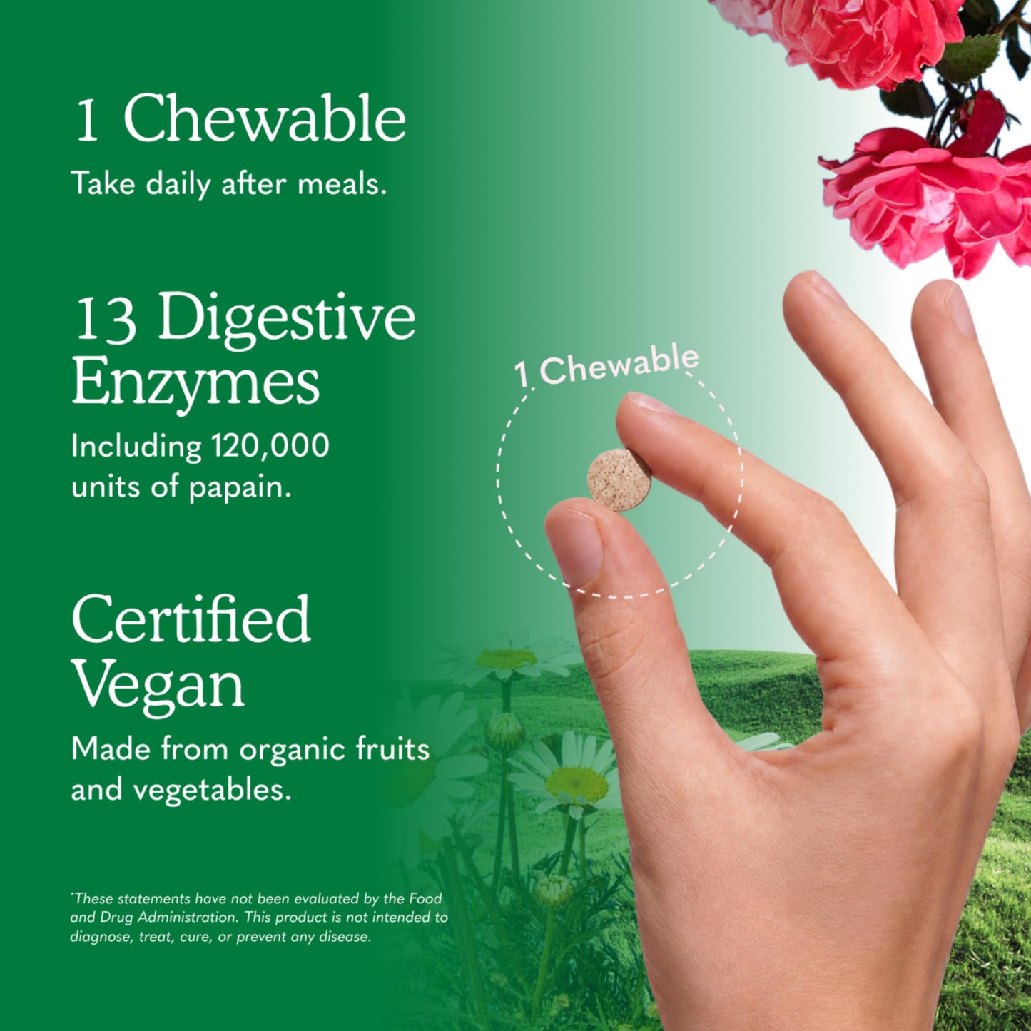 Garden of Life Dr Formulated Digestive Enzymes with Papain, Bromelain, Lipase Chewables 90 Count