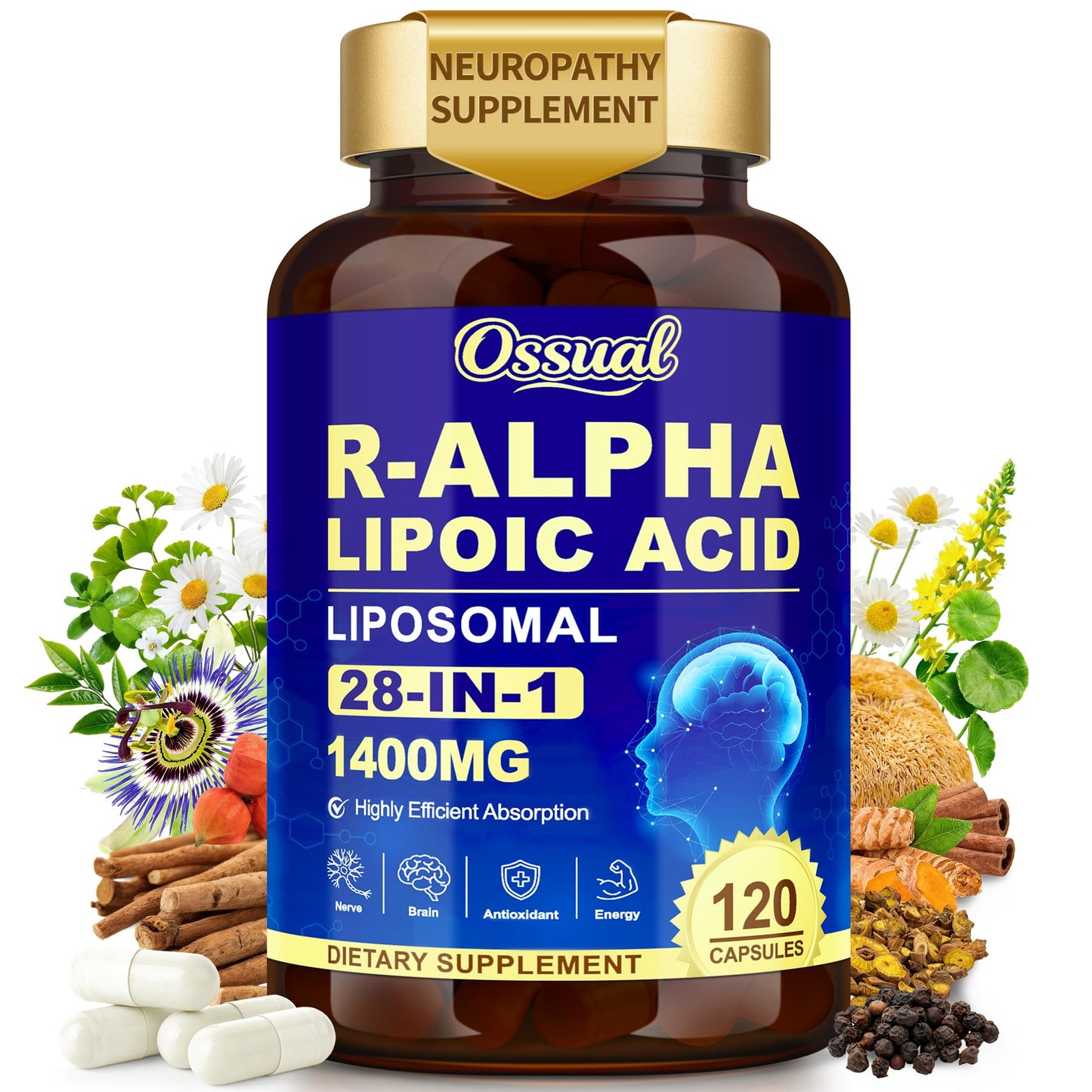 Ossual 28-in-1 R Alpha Lipoic Acid 1400mg Neuropathy Supplements Capsules 120 Count